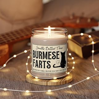 Burmese Cat glfts Funny Cat Owner glft Fart Candle Burmese Owner glfts glft for Cat Owner Cat Candle glft for Cat Lover Feline glfts, Scented Soy Candle, Home Decor Candle