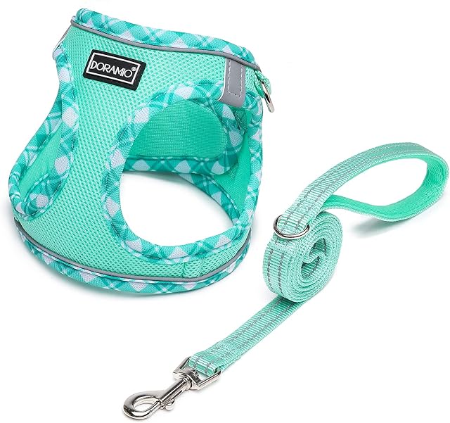 DORAMIO Step-in Dog Harness and Leash Set, Soft Mesh No-Chock Reflective Breathable Easy Walk Escape Proof Vest Harnesses with Safety Buckle for Small Medium Dogs, Cats, Puppies (Light Green, S)