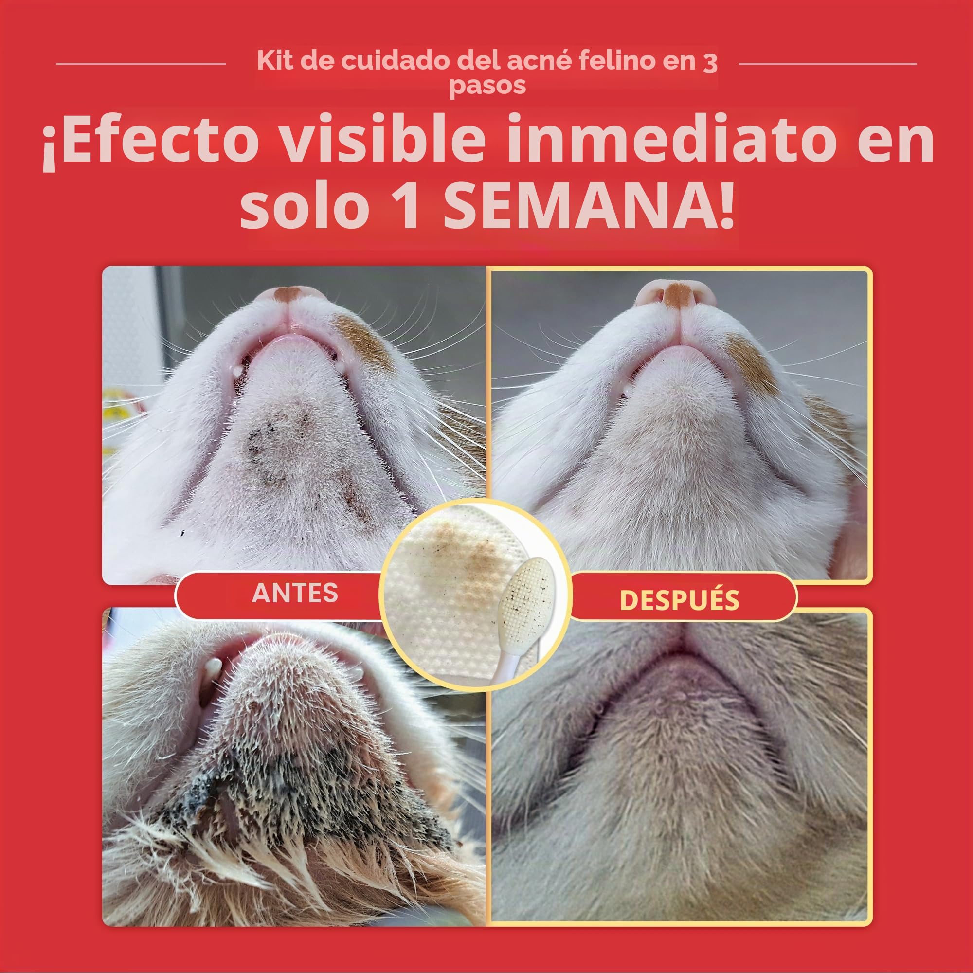 JAYU PET Kit de cuidado del acné de gato de 3 pasos, limpiador hipoalergénico para acné felino, almohadillas de doble cara para el acné de gato (1EA), toallitas de tratamiento de barbilla para el acné