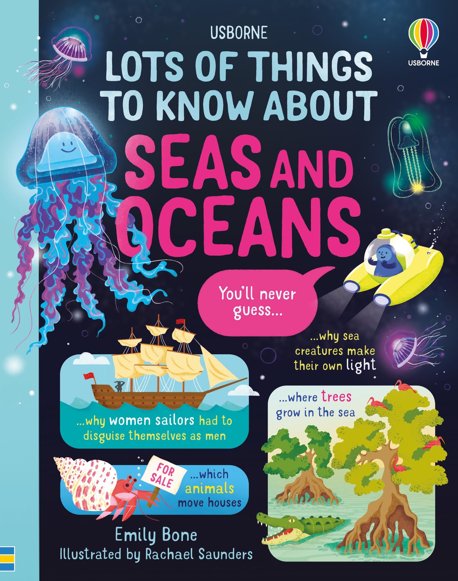 Lots of Things to Know About Seas and Oceans by Emily Bone HARDBACK