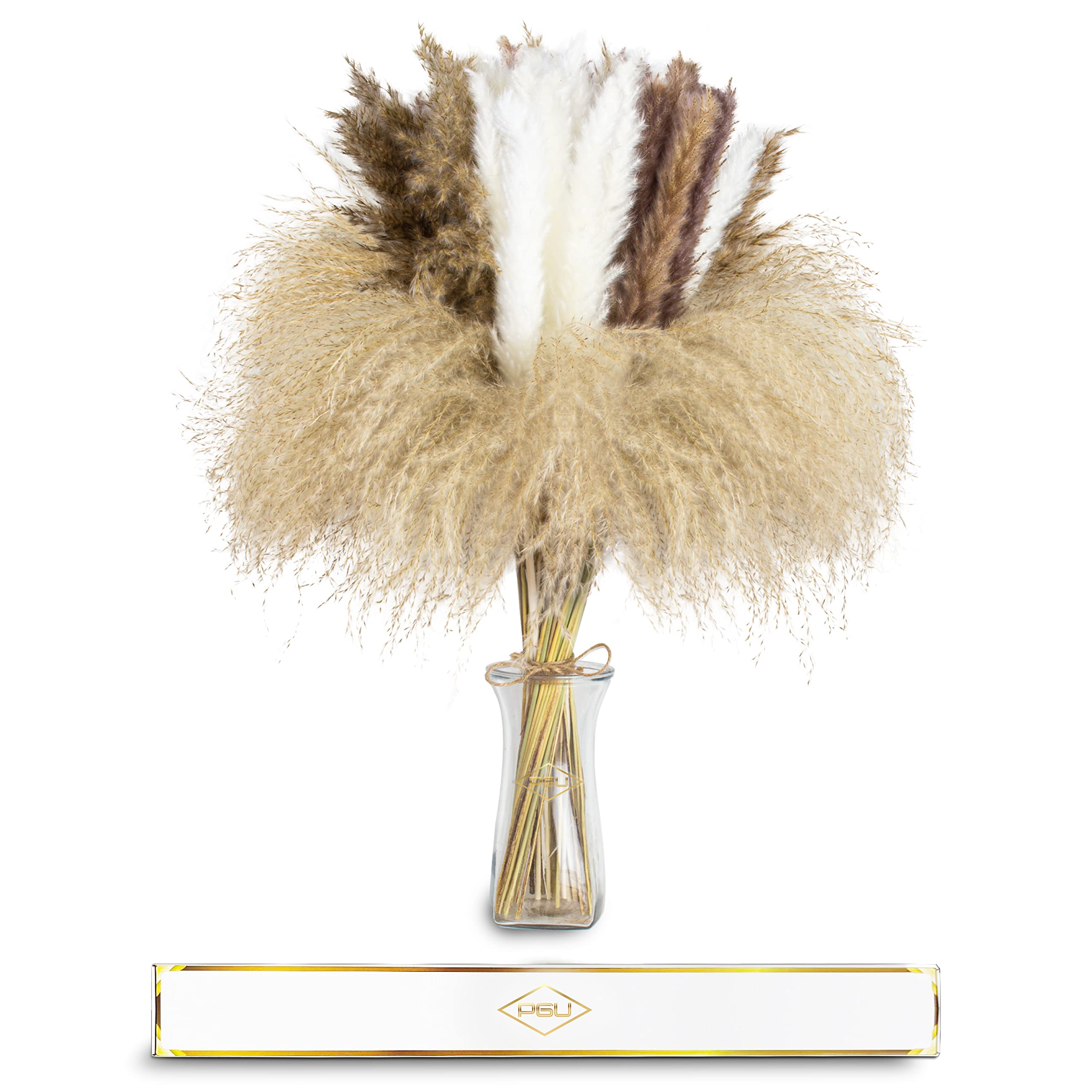 Buy PGU Home Pampas Grass Decor Tall Full and Fluffy Large Luxury