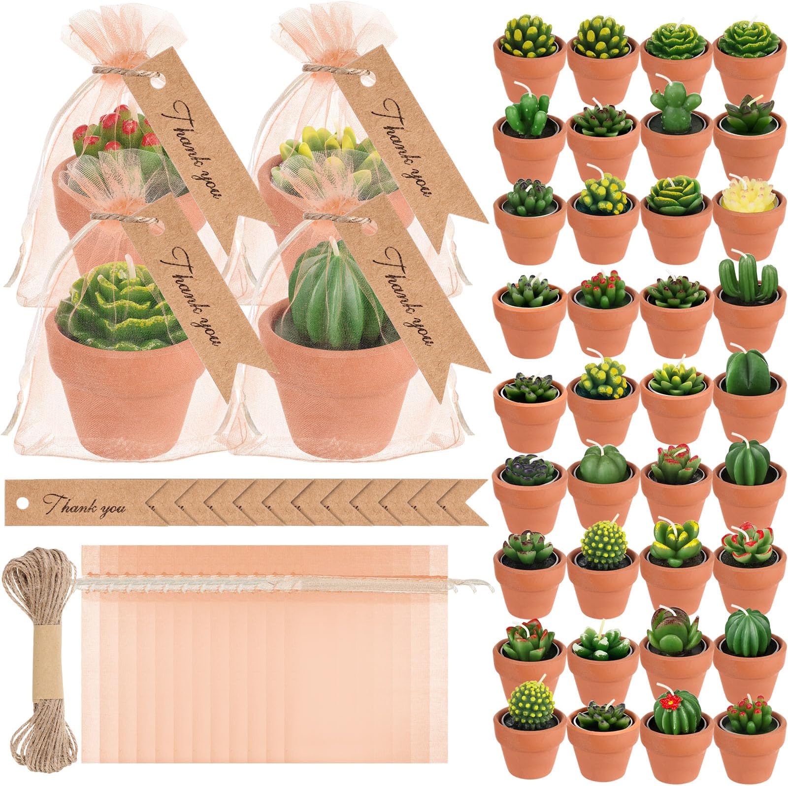 MTLEE 36 Pcs Succulent Tealight Candles - Wedding Party Baby Shower Valentines Gifts Birthday Pack with Terracotta Pot, Organza Bag, Tags, Twines