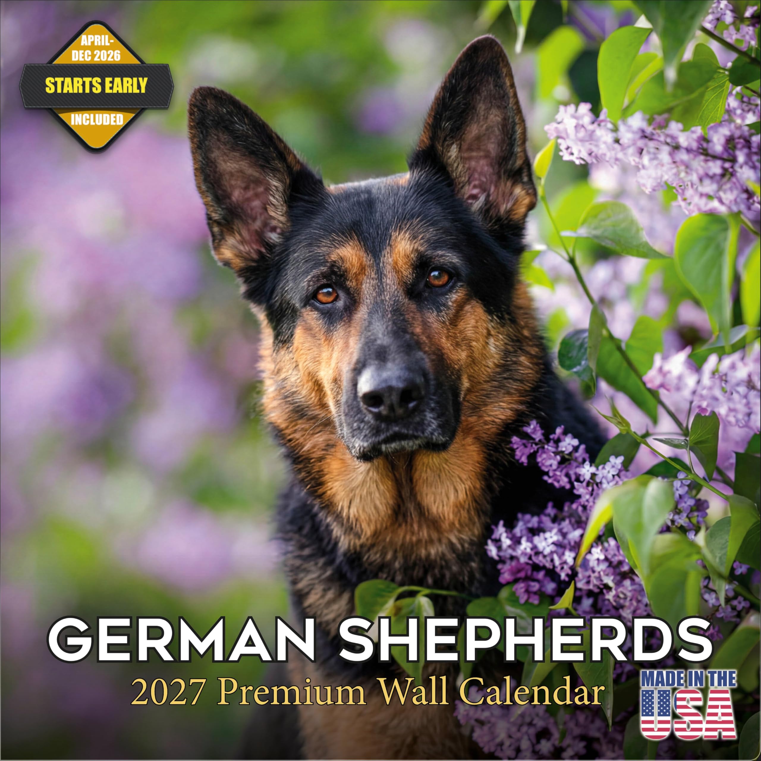 Amazon.com : German Shepherd 2026 2027 Wall Calendar, 16-Month