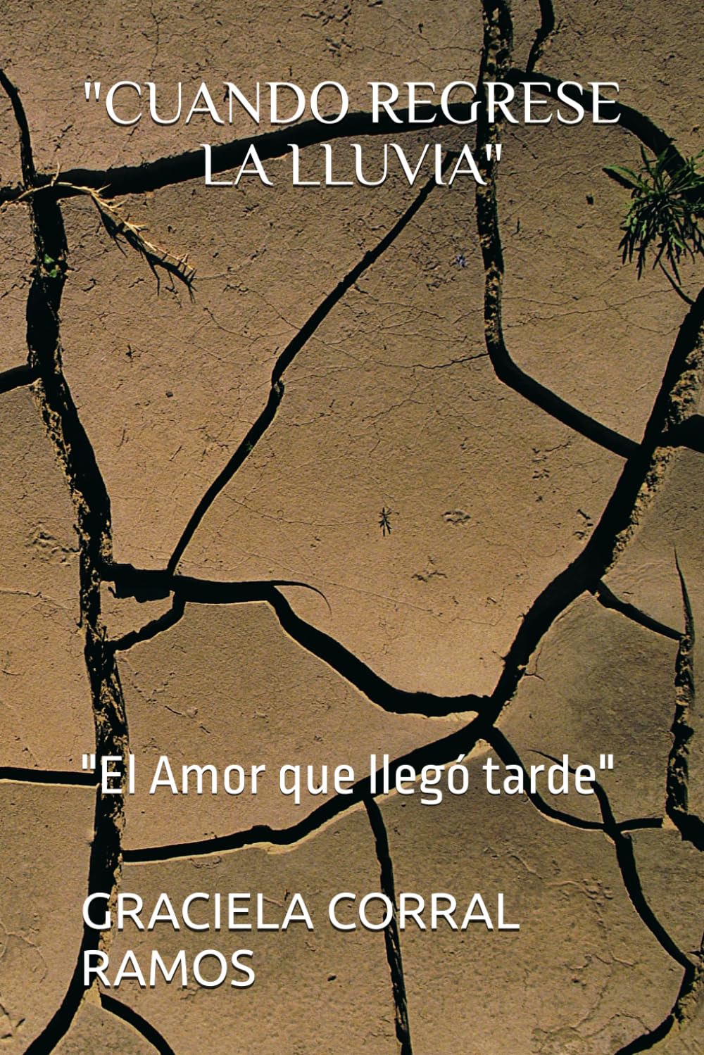 CUANDO REGRESE LA LLUVIA": "El Amor que llegó tarde