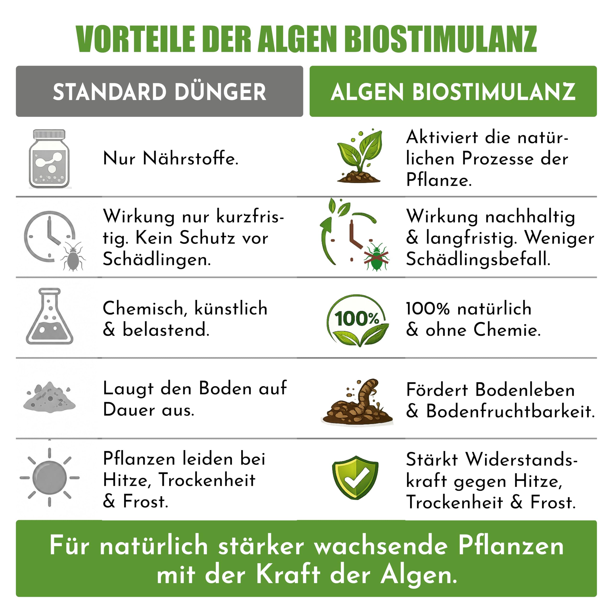 Flora Antan Algendünger Biostimulanz 5 L Universaldünger flüssig | Dünger für Obst, Gemüse, Bäume & Pflanzen aller Art, fördert kräftiges Wurzelwachstum, Made in Germany, 2500 L Gießlösung