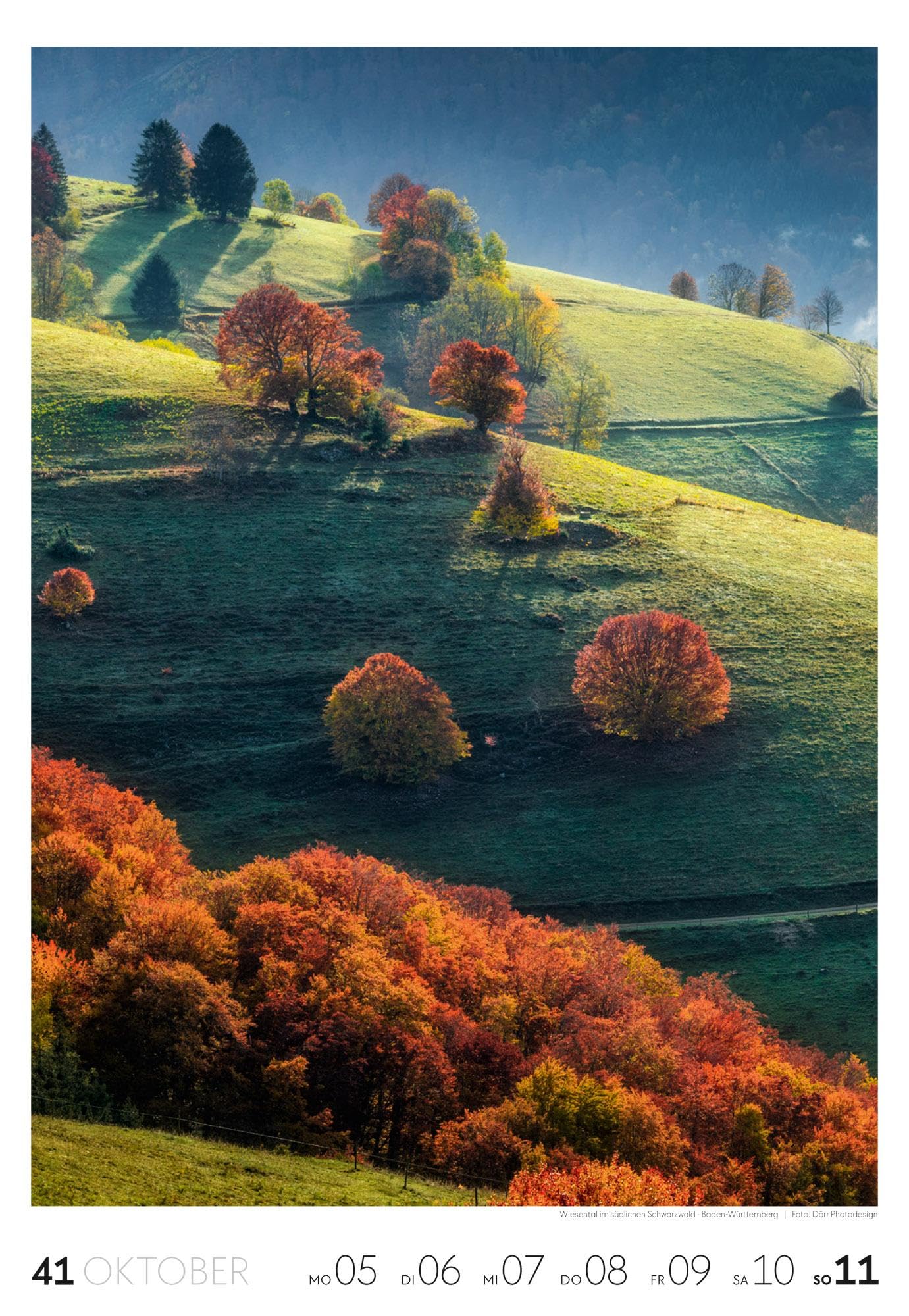 Natur Wochenkalender 2026 | Natur-Kalender mit 53 großformatigen Bildern im Hochformat (29x42 cm) | Heimische Flora und Fauna