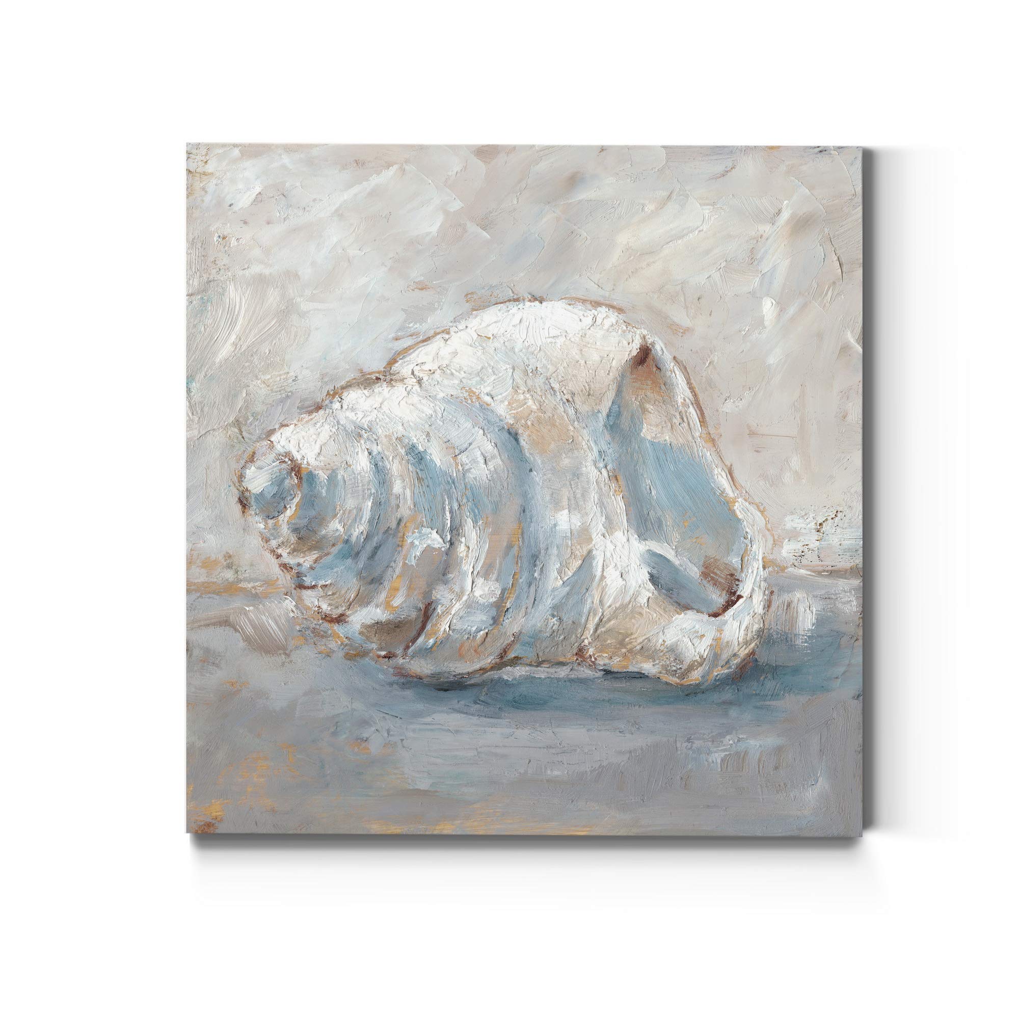 renditions gallery square canvas wall art: neutral coastal, multicolor nature, modern landscape abstract wall art for home & office - blue shell study iv 16x16