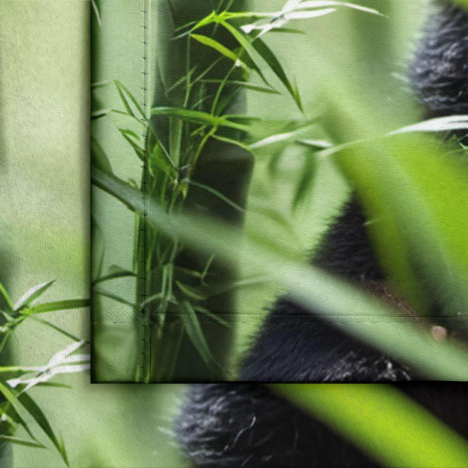 Rideaux Intérieurs Panda Forêt Bambous L70 x H160 CM 2 Panneaux Draperies Animal Occultant D'effet Thermique avec Oeillets Rideau pour Chambre à Coucher Cuisine Salon Salle Bain