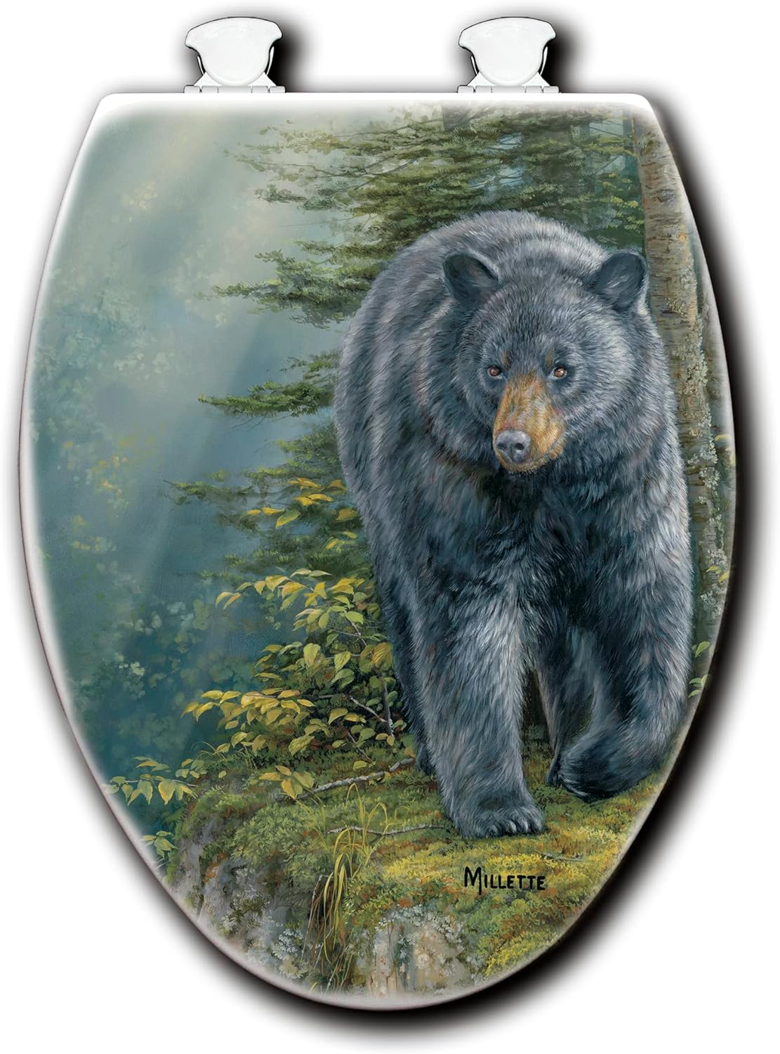 House & Homebody Co. Elongated Toilet Seat, White with Outdoor Image (Rocky Outcropping)