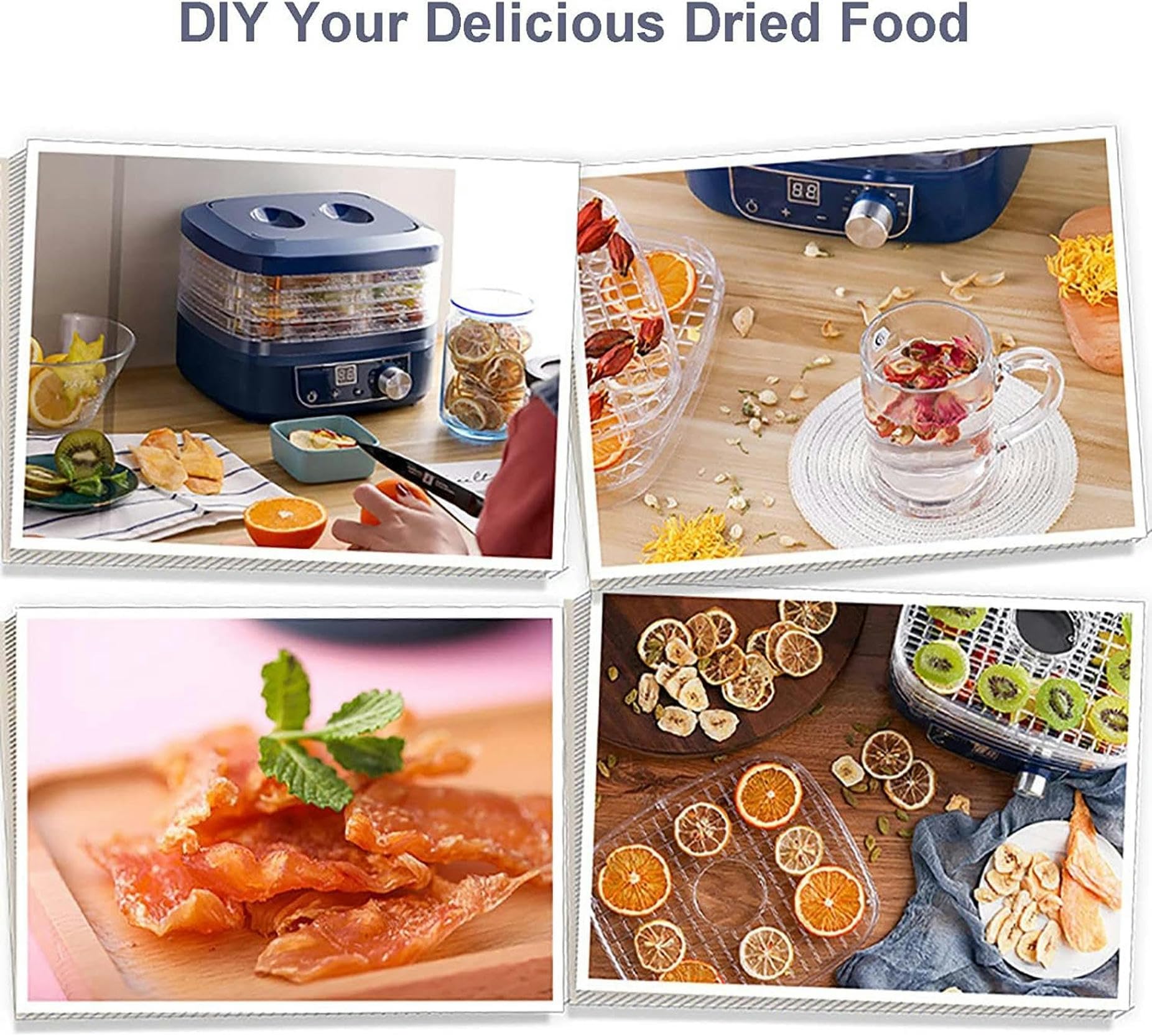 Disidratatore Disidratatore Mac di Frutta E Cibo con 5 Grandi Vassoi per Frutta Secca, Verdure, Carne, Cecina E Animali Domestici per Animali Domestici