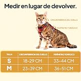 Ver la foto 3