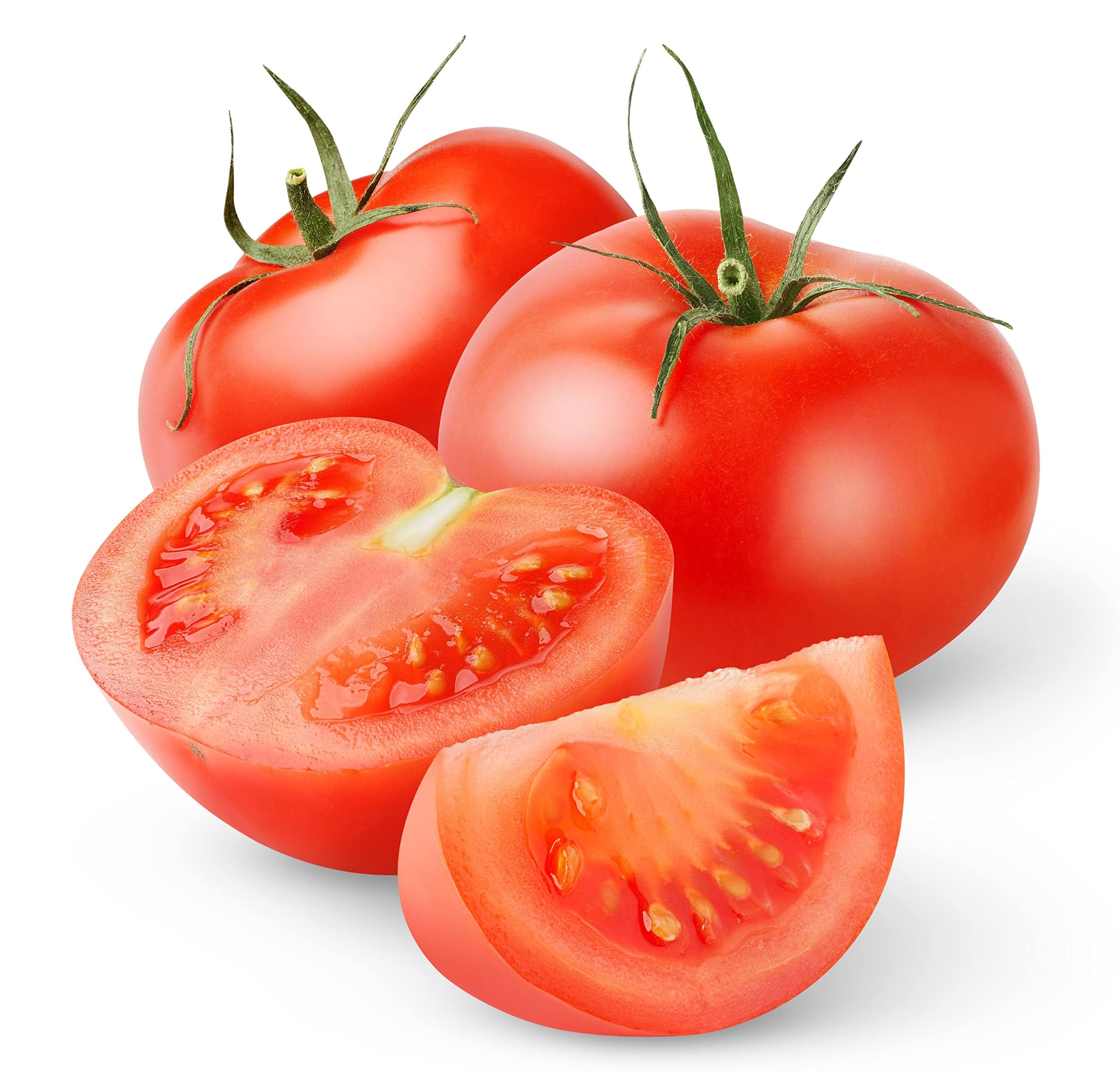 Tomato Plants, 'Moneymaker', 6 x Plug Plant Pack, Garden Vegetables, Tomatoes, Garden Ready and Ready to Plant, Premium Quality Tomatoes