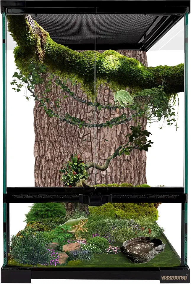 Terrário vertical de vidro para répteis de 30,5 x 30,5 x 45,7 cm com porta de abertura frontal e ventilação de tela superior para lagartixas, cobras, sapos, camaleão
