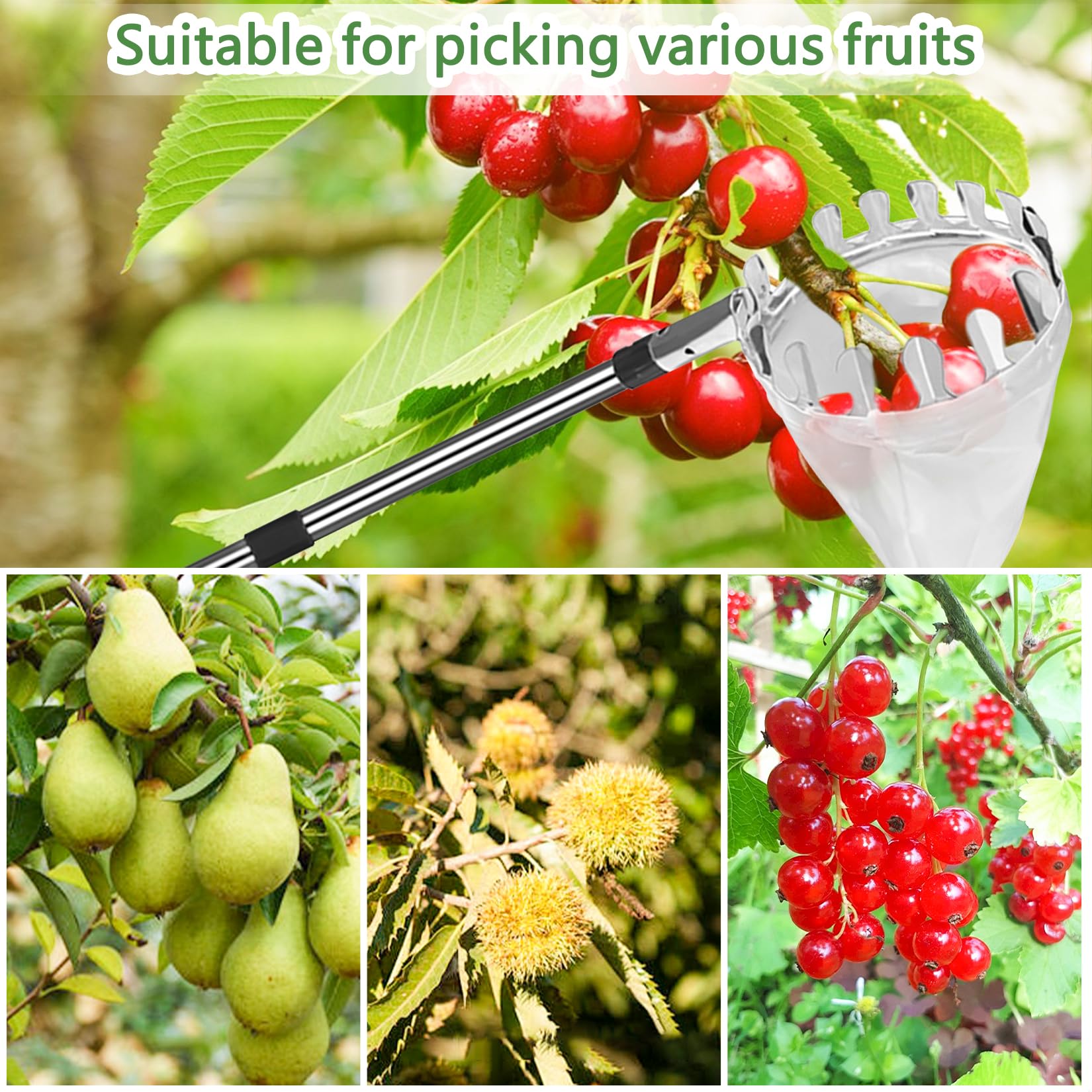 S Télescopique 4M Cueille Fruit Telescopique, Ramasse Pomme INOX Et Sac De Rangement Poteau Reglable Cueille Fruit Pour Pommes Poires Oranges Peches Cerises 88050073 Ramasse Fruit