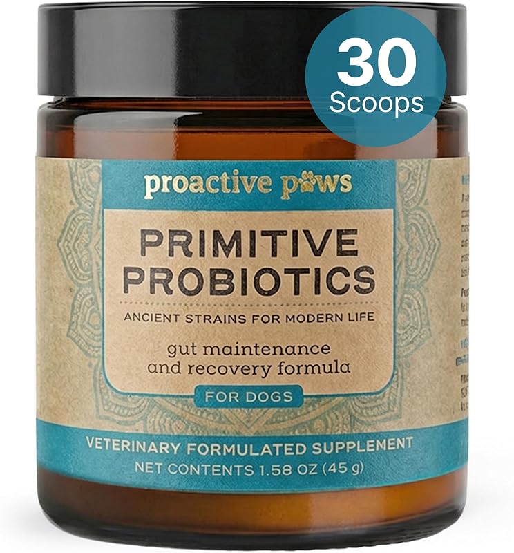 Probiótico para Cães Primitive Probiotics Proactive Paws com Fibra de Abóbora, 30 Medidas