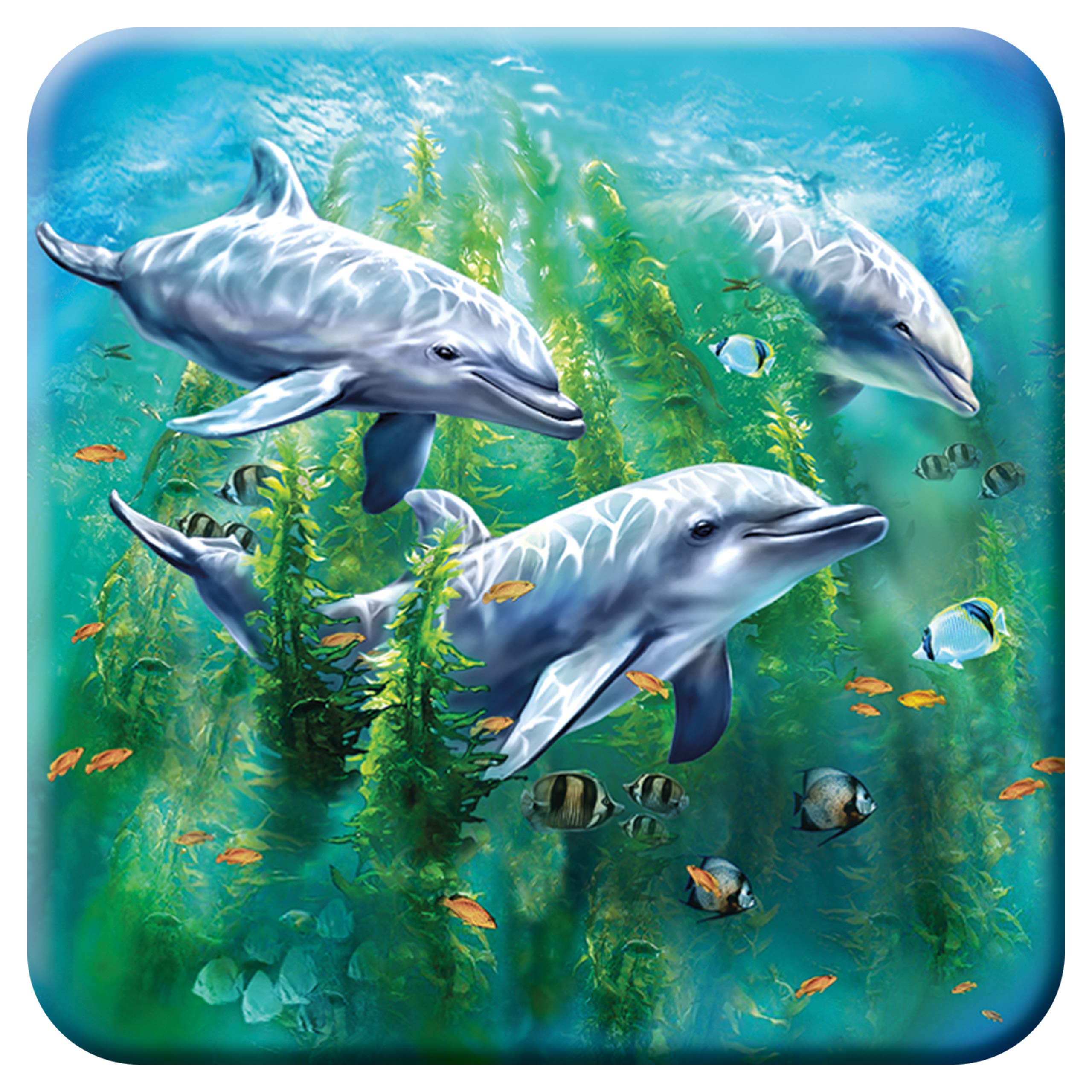 3D Livelife Women's Dolphin Kelp Bed Cork Coaster - From Deluxebase. Lenticular 3D Dolphin Drink & Mug Coasters. Fun Animal Gifts For And Men. Novelty Kitchen And Decorative Home Accessories.