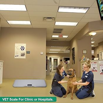 ICARE-PET SNO-PS05 大型犬用の体重計 1-150kgまで測れる Amazon.co.jp: 90 x 50 cm 大型犬用の体重計 50gの高精度 1