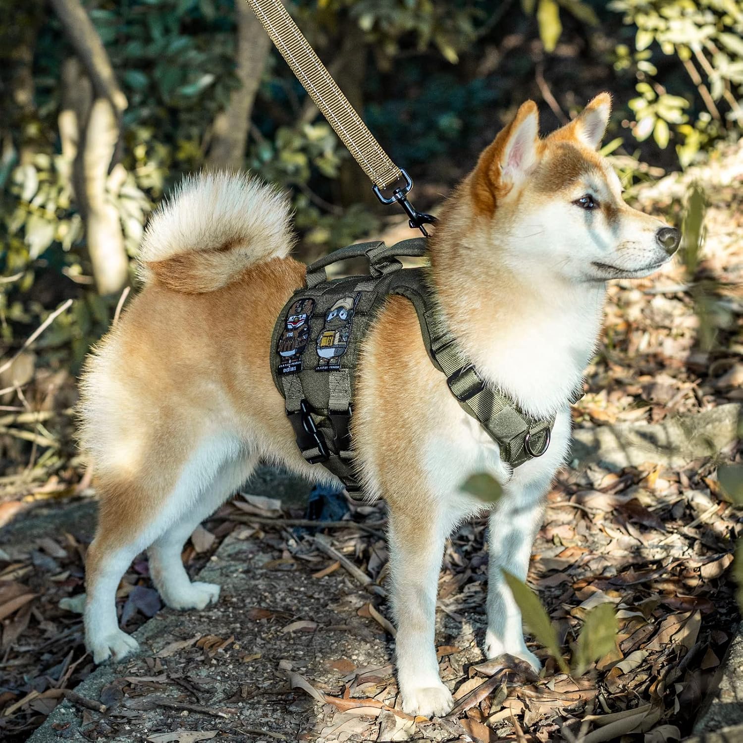 OneTigris Dog Harness, Comfortable Non-Slide & No Pull Pet Lifting Rehabilitation Vest(Ranger Green,Large)