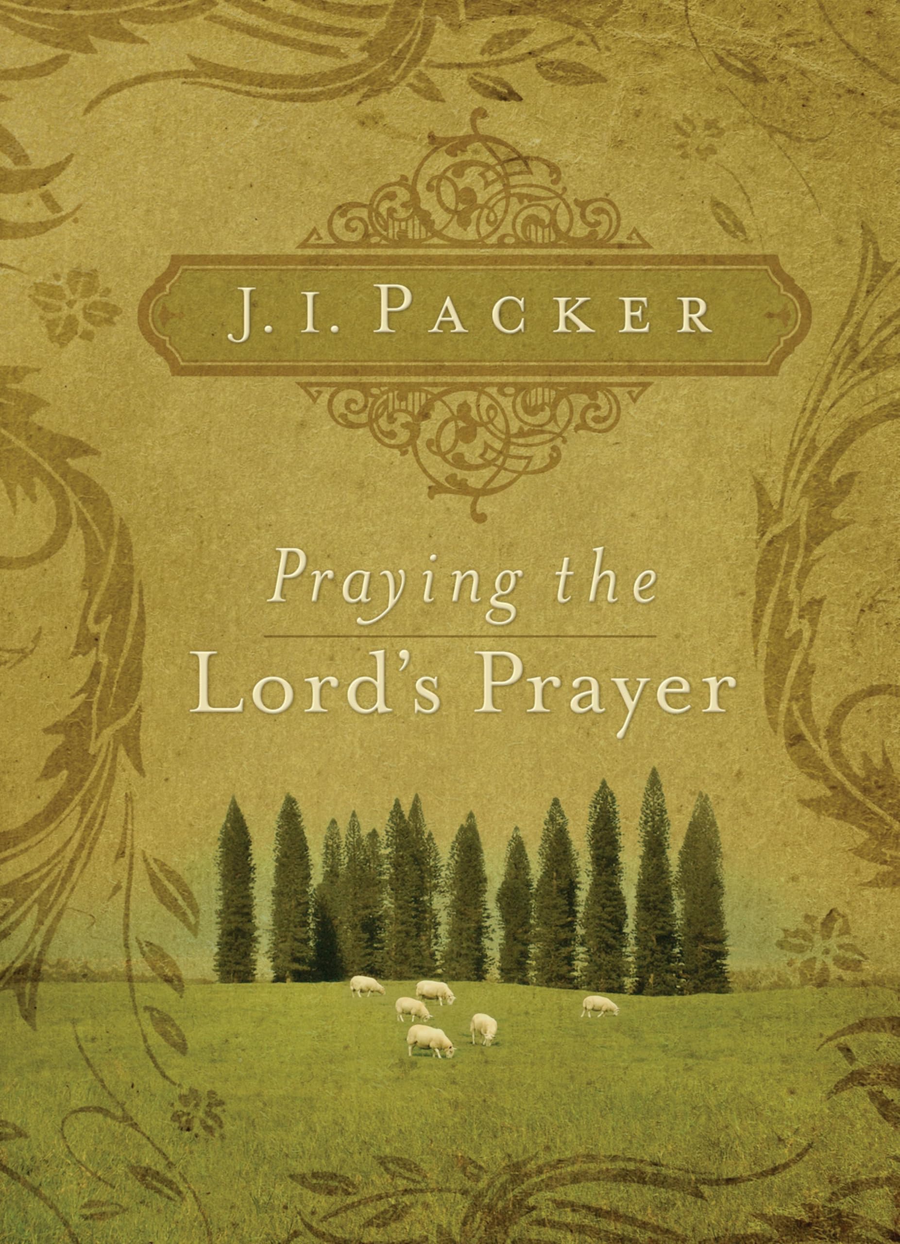 Praying the Lord's Prayer Paperback – 7 Jun. 2007