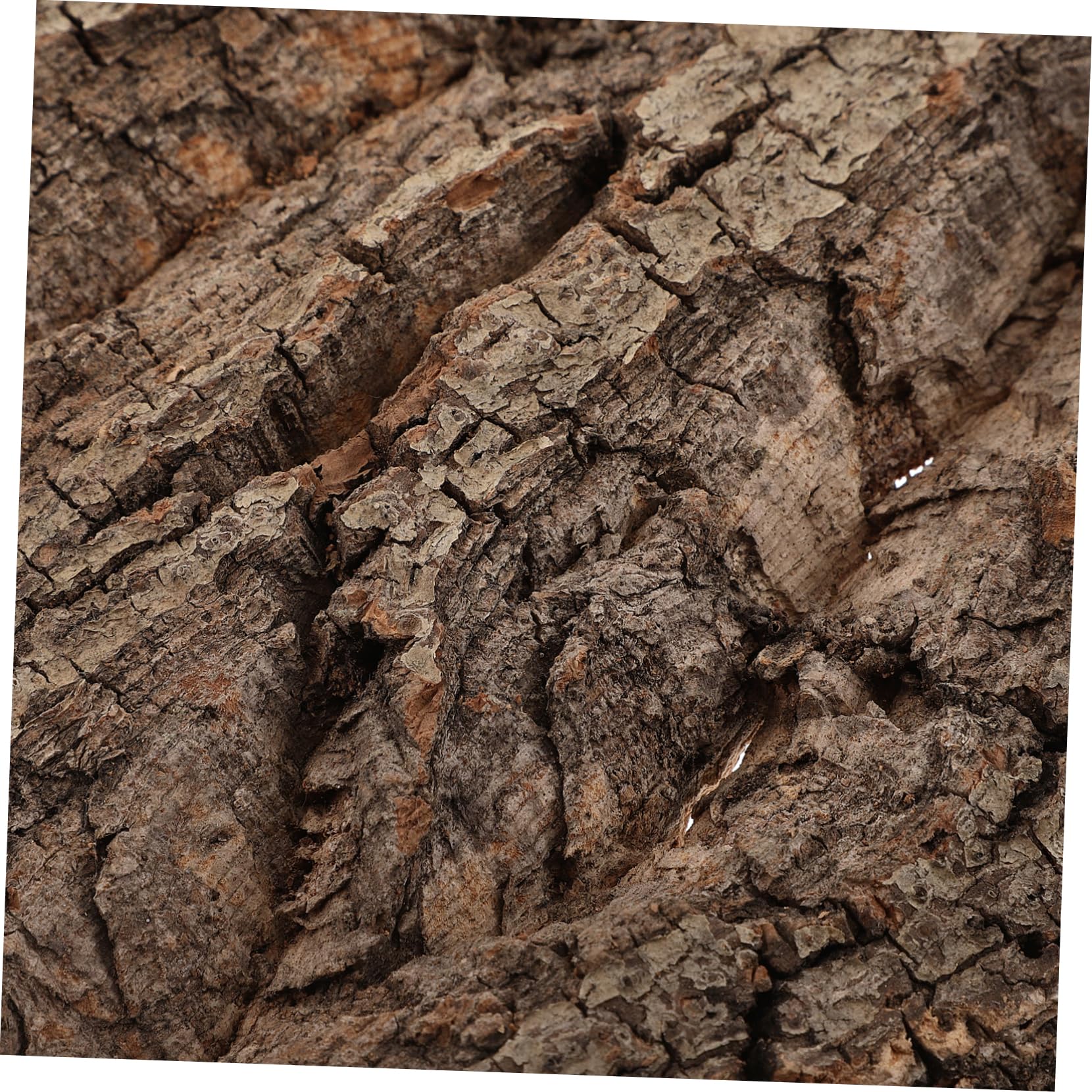 Gatuida Natural de de Corcho para Decoración de Terrarios y Acuarios Paneles de Paisaje para Reptiles Geckos y Serpientes Diseño