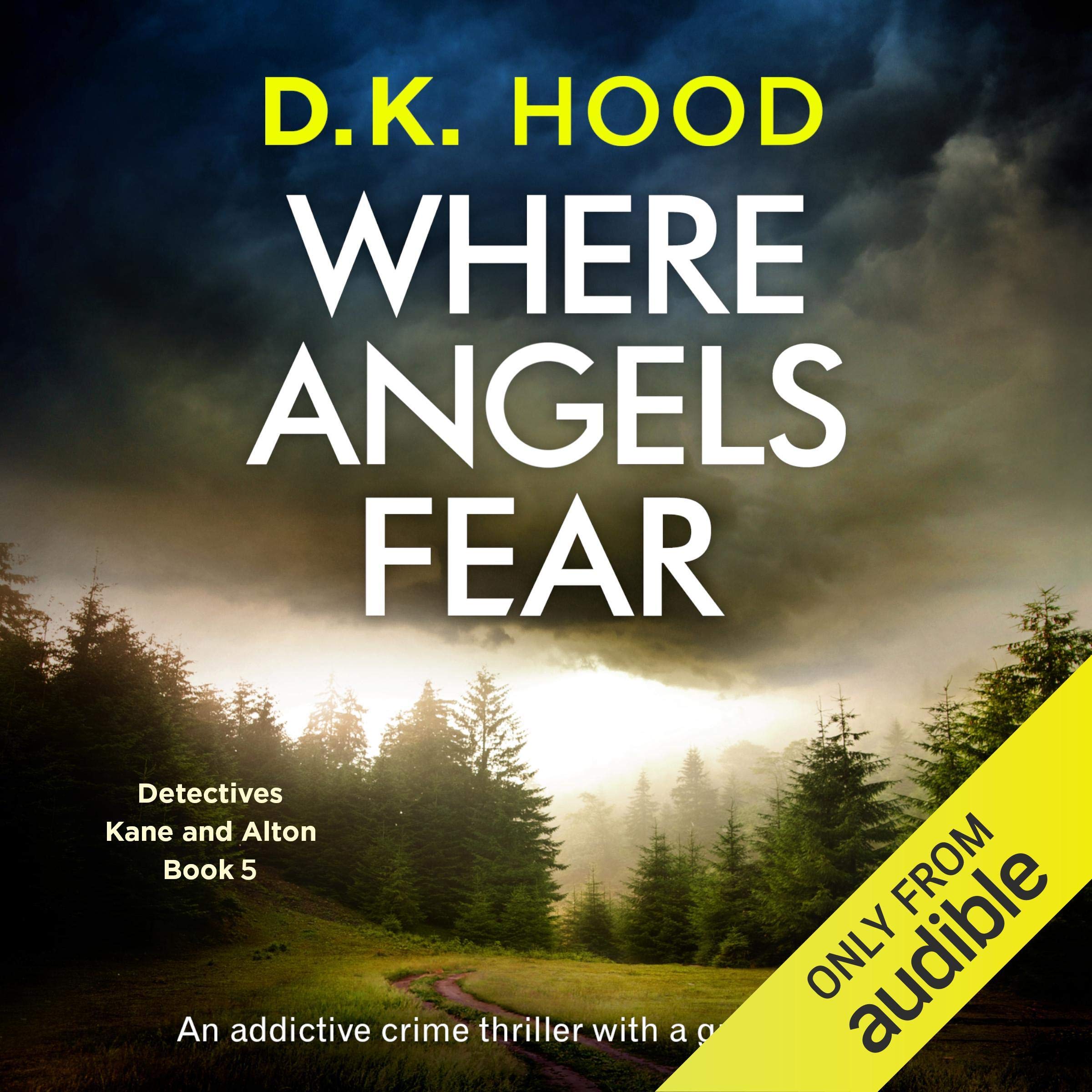 Cover art for Where Angels Fear