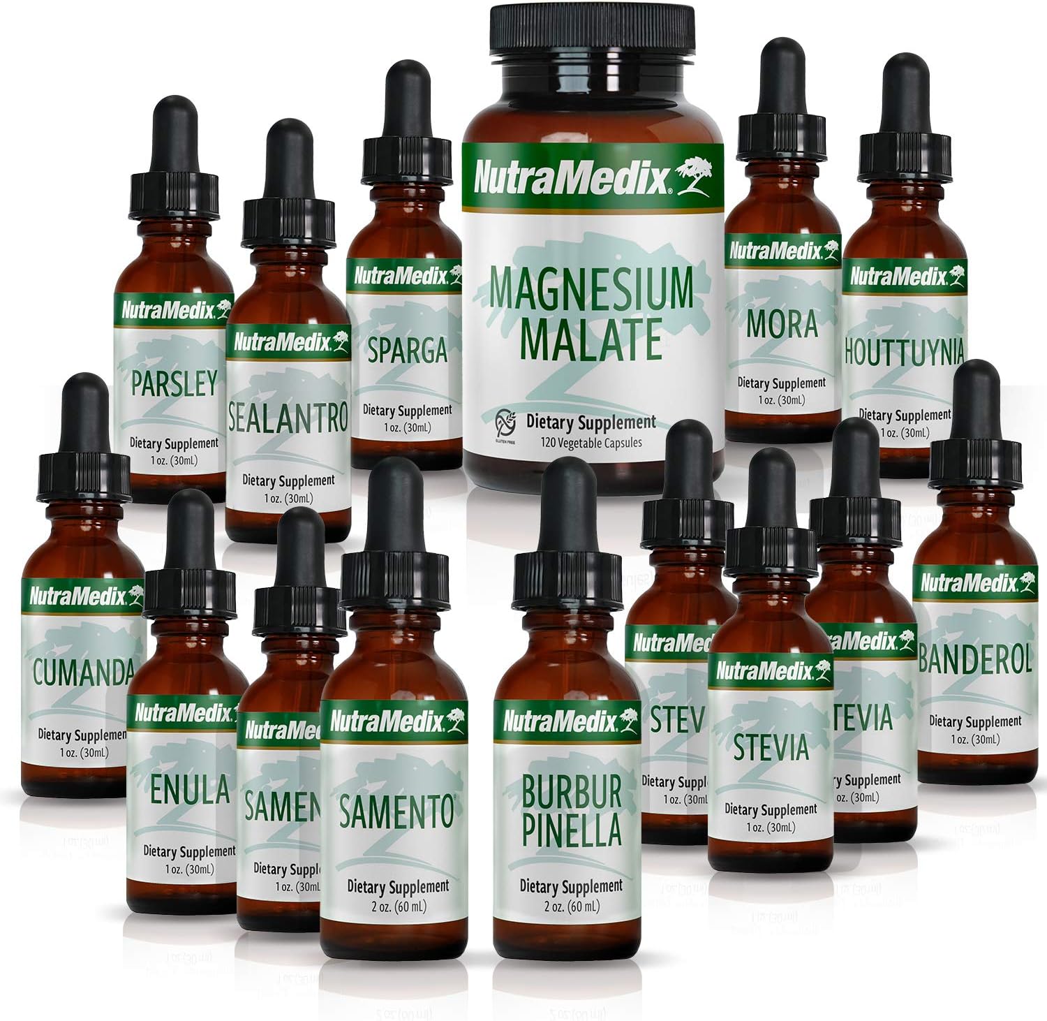 NutraMedixCowden Support Program Month 6 - Bioavailable Herbal Detox Protocol Including Banderol, Burbur-Pinella, Samento Cat's Claw, Parsley, Houttuynia Tincture, Magnesium & More (15 Piece Set)