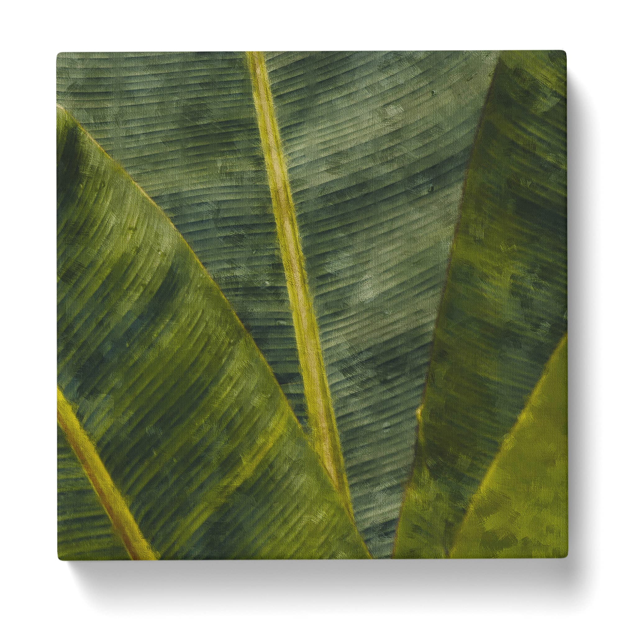Fronds Of A Palm Tree Canvas Print, Mixed, 35L x 35W cm - Image 3