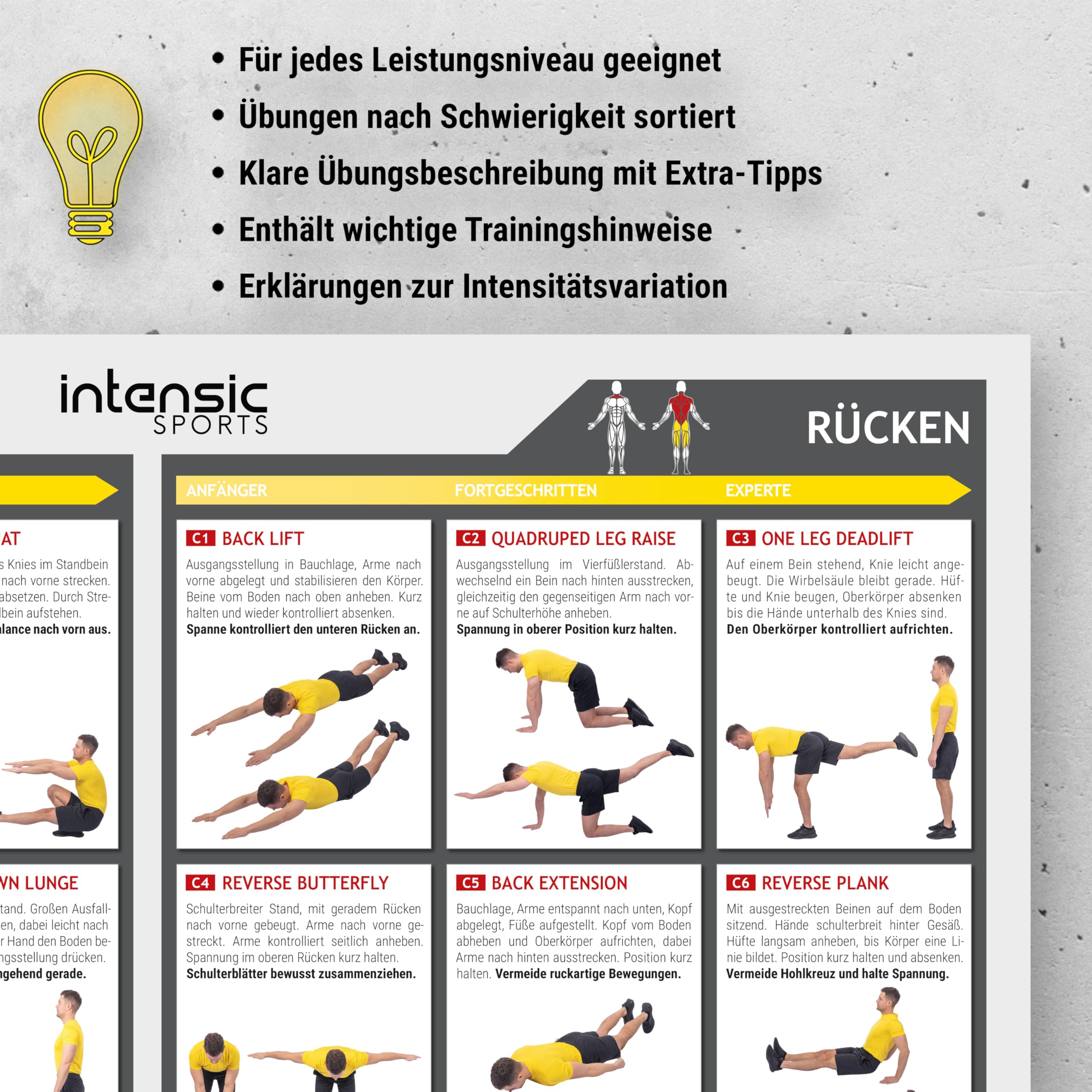 Poster Double Étirement & Mobility IntensIC SPORTS - 60 Exercices Fitness Sans Matériel Pour Maison