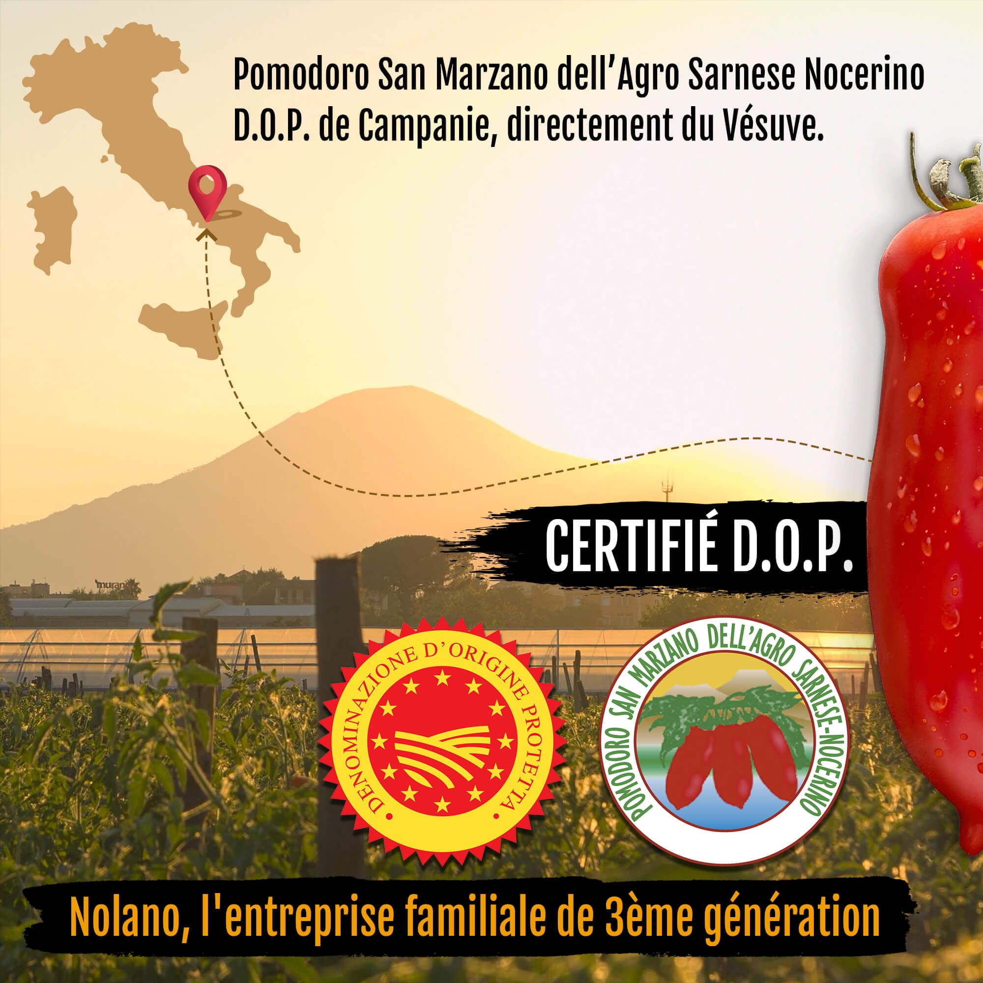 DELICRET – 12 x 400 g NOLANO Tomates San Marzano DOP | entières & pelées | Tomates à pizza (12 x 400 g)