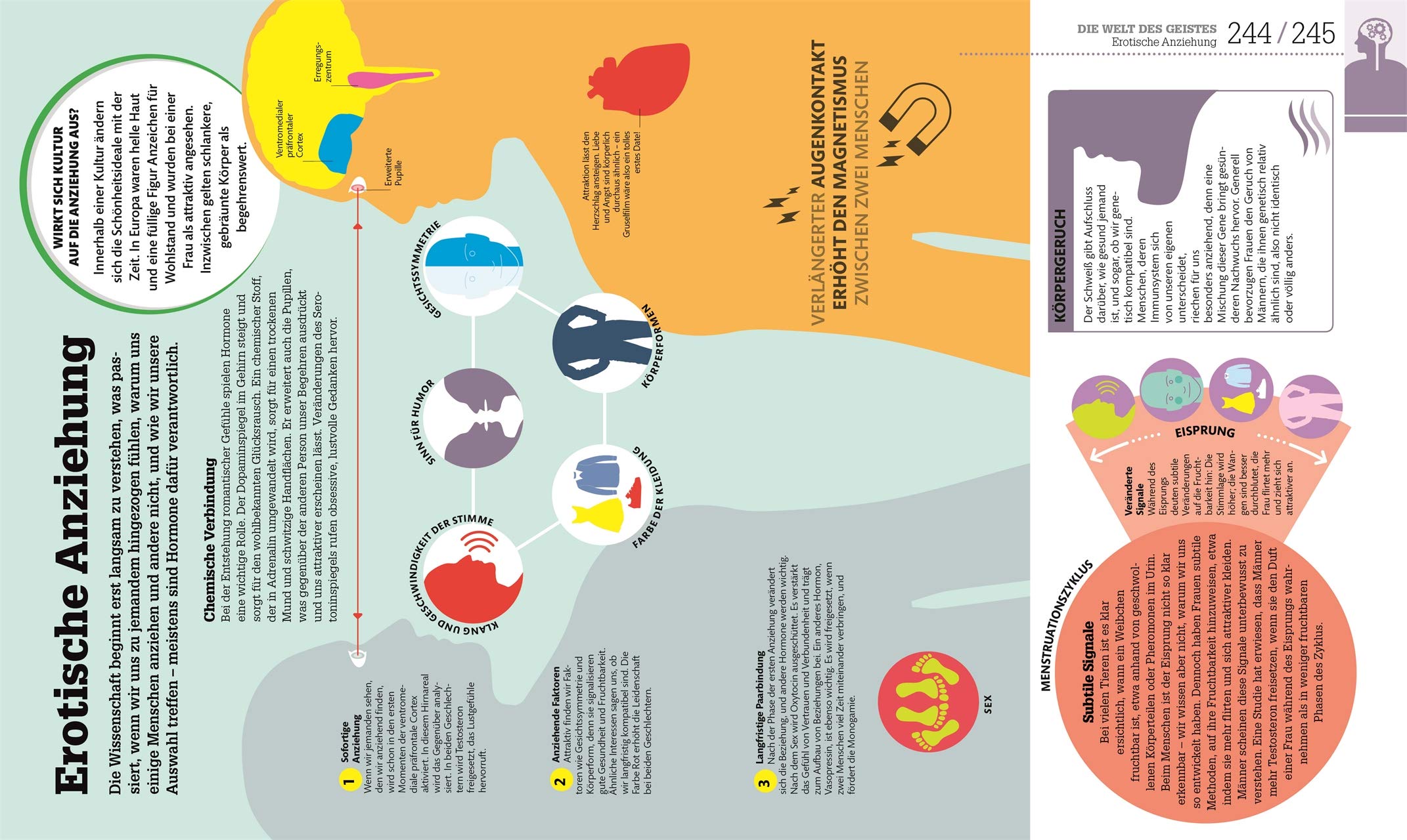 #dkinfografik. Der menschliche Körper: Und wie er funktioniert