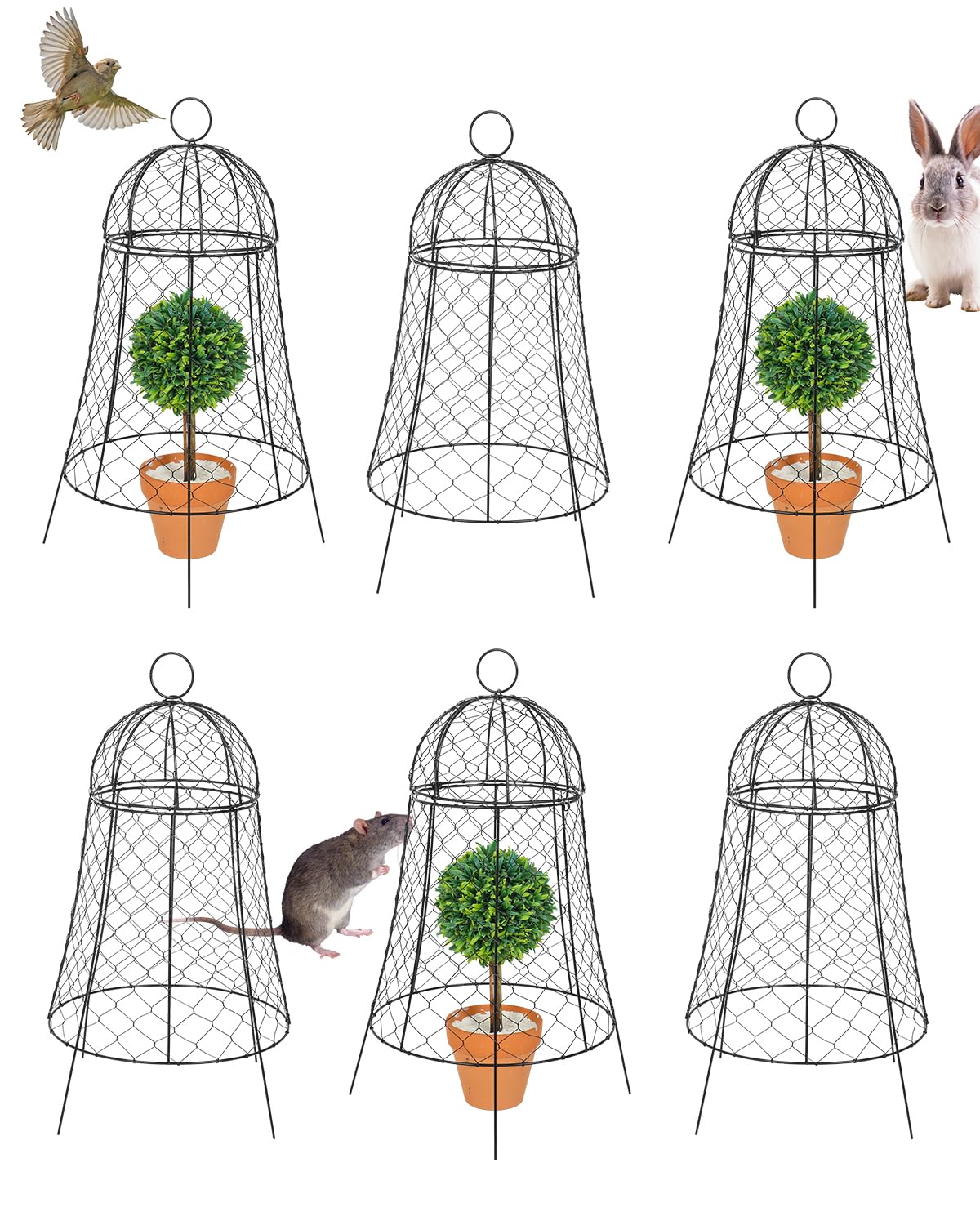 GCCSJ6 Pack Large Side Garden Chicken Wire Cloche, Plants Protector,Protect Plants from Animals Squirrel Rabbit, Black Metal, Strong Not Easy to Deform, No Assembly Required (11.8''Dx22.8 H)