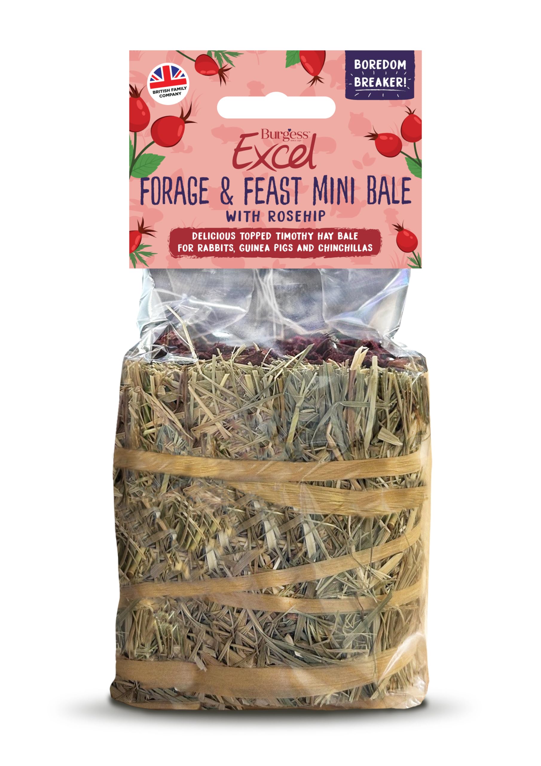 Excel Forage & Feast Mini Bale with Rosehip, 100g – Mini Hay Bale Treat for Rabbits & Guinea Pigs – Natural Snack Topped with Rosehip