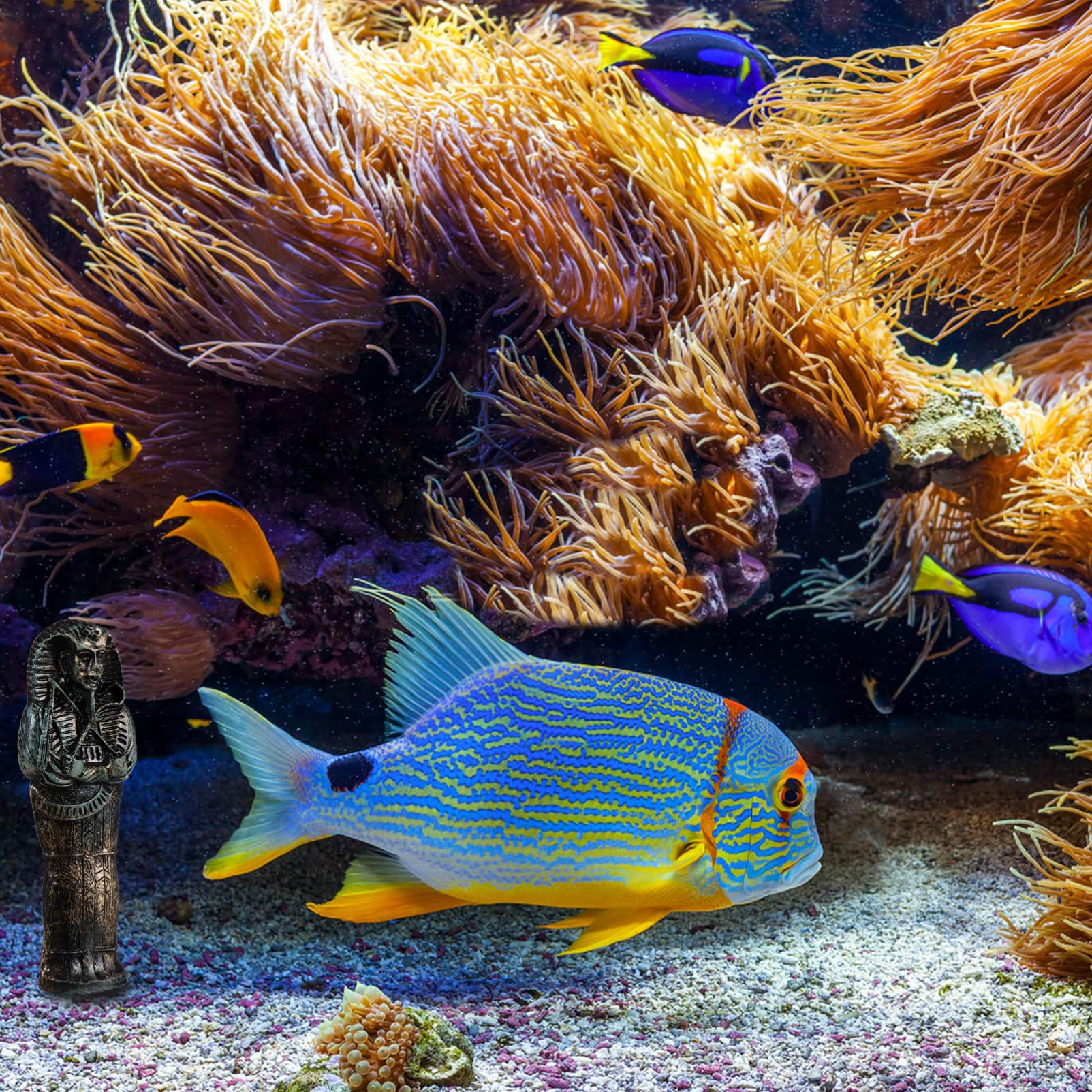 Kisangel 2 Ensembles Décoration De Paysage De Crâne Aquarium Animal De Compagnie Humain Marchandise Accessoires Décorations Maison De Reptiles pour Animaux De Compagnie Réservoir Résine
