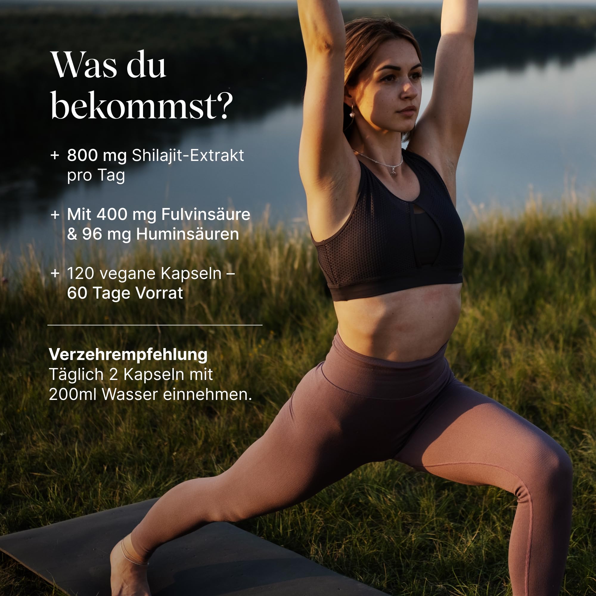 VETAIN Original Himalaya Shilajit - 800 mg - 50% Fulvinsäure & 12% Huminsäure - 120 Kapseln aus Shilajit Extrakt - Hochdosiert, vegan & ohne Zusätze – laborgeprüft & produziert in Deutschland