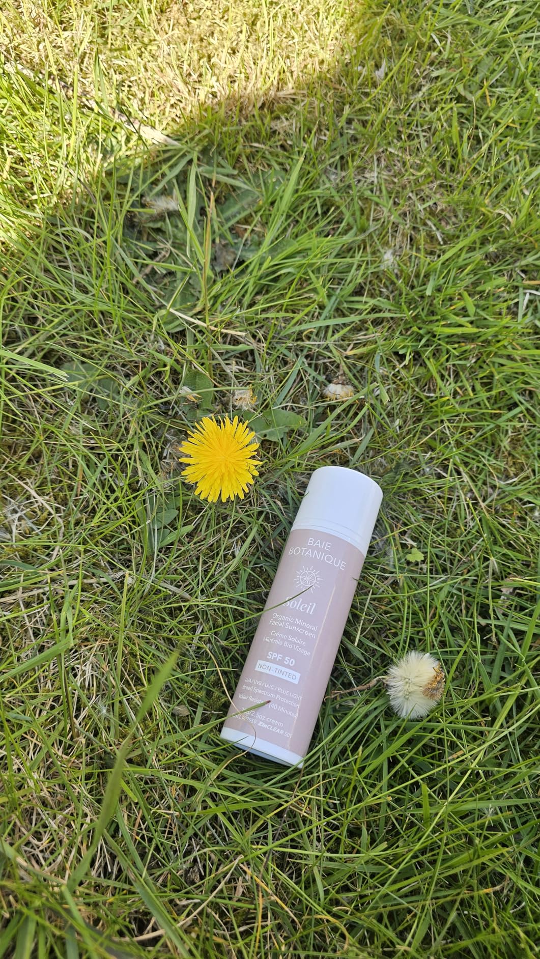 Baie Botanique NEW SIZE - Baie Botanique Soleil Organic Facial Sunscreen SPF 50 - Chemical Filter Free Hyaluronic Acid & Vitamin C Sunscreen for Face Natural Vegan No White Cast Non Toxic UVA/UVB Protection 70g