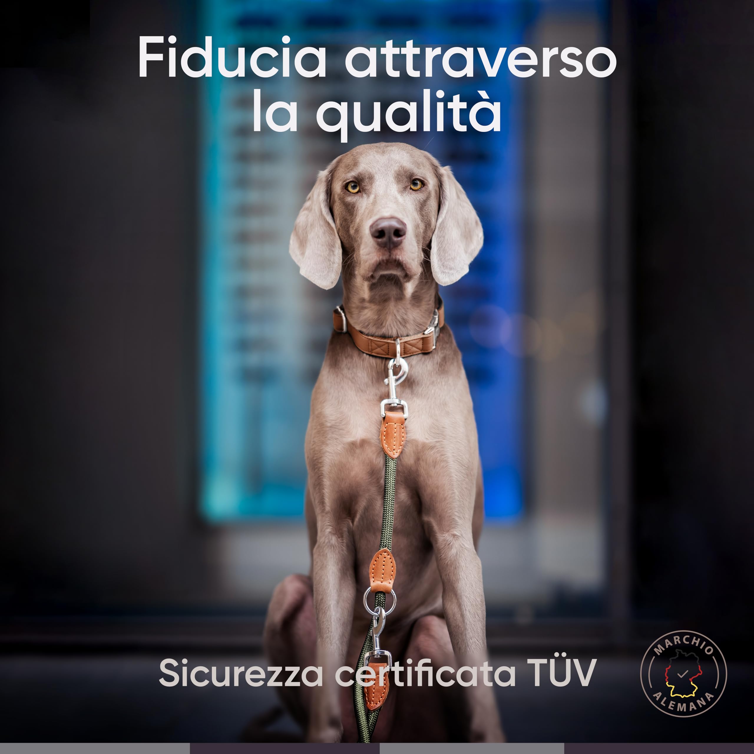 FREUDENTIER Guinzaglio per cani 2m - Guinzaglio regolabile - Robusto nylon rifinito con eleganti elementi in pelle marrone - Guinzaglio per cani di taglia media e grande (verde bosco)