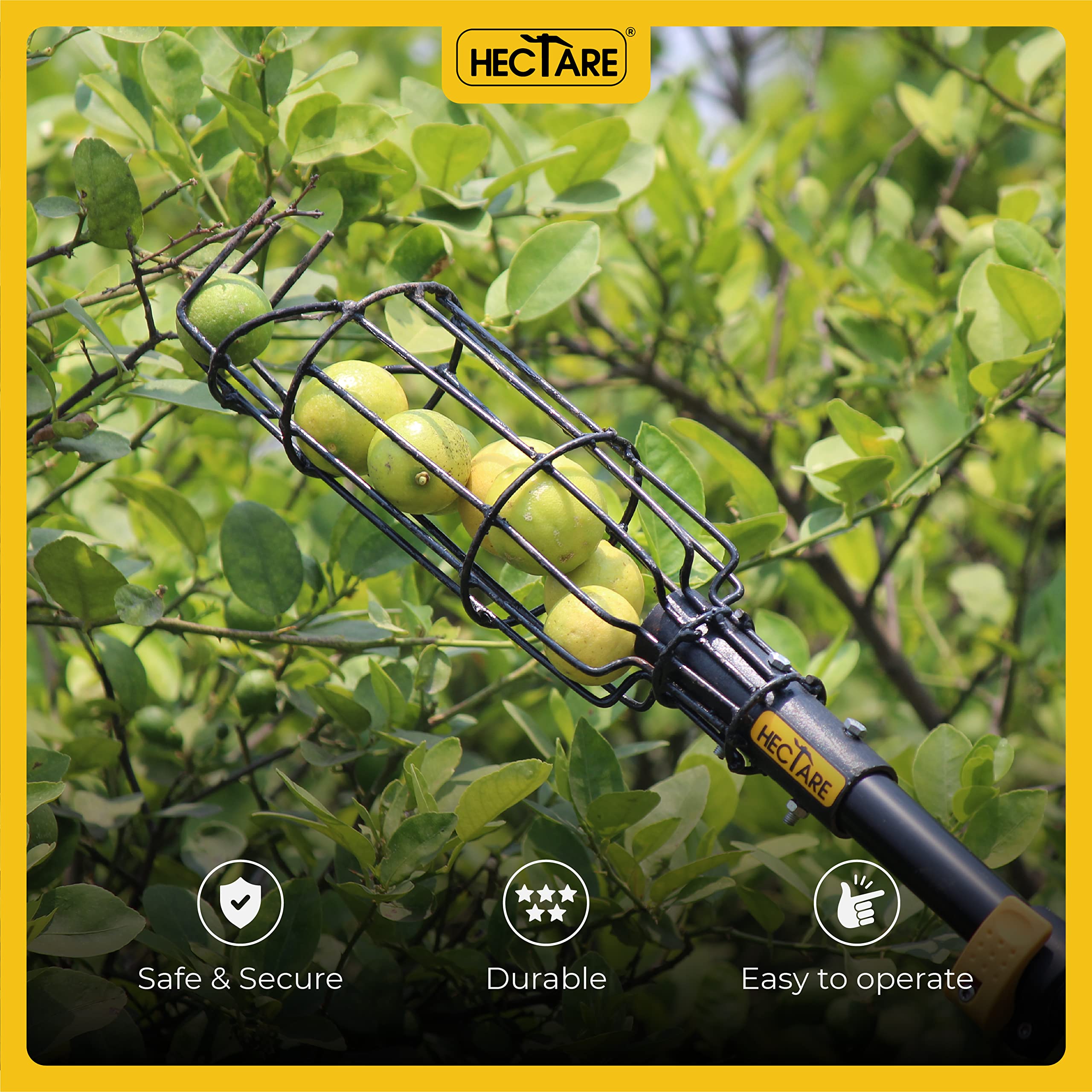 Fruit Picker Basket - Harvest Lemons, Chikus & More -4