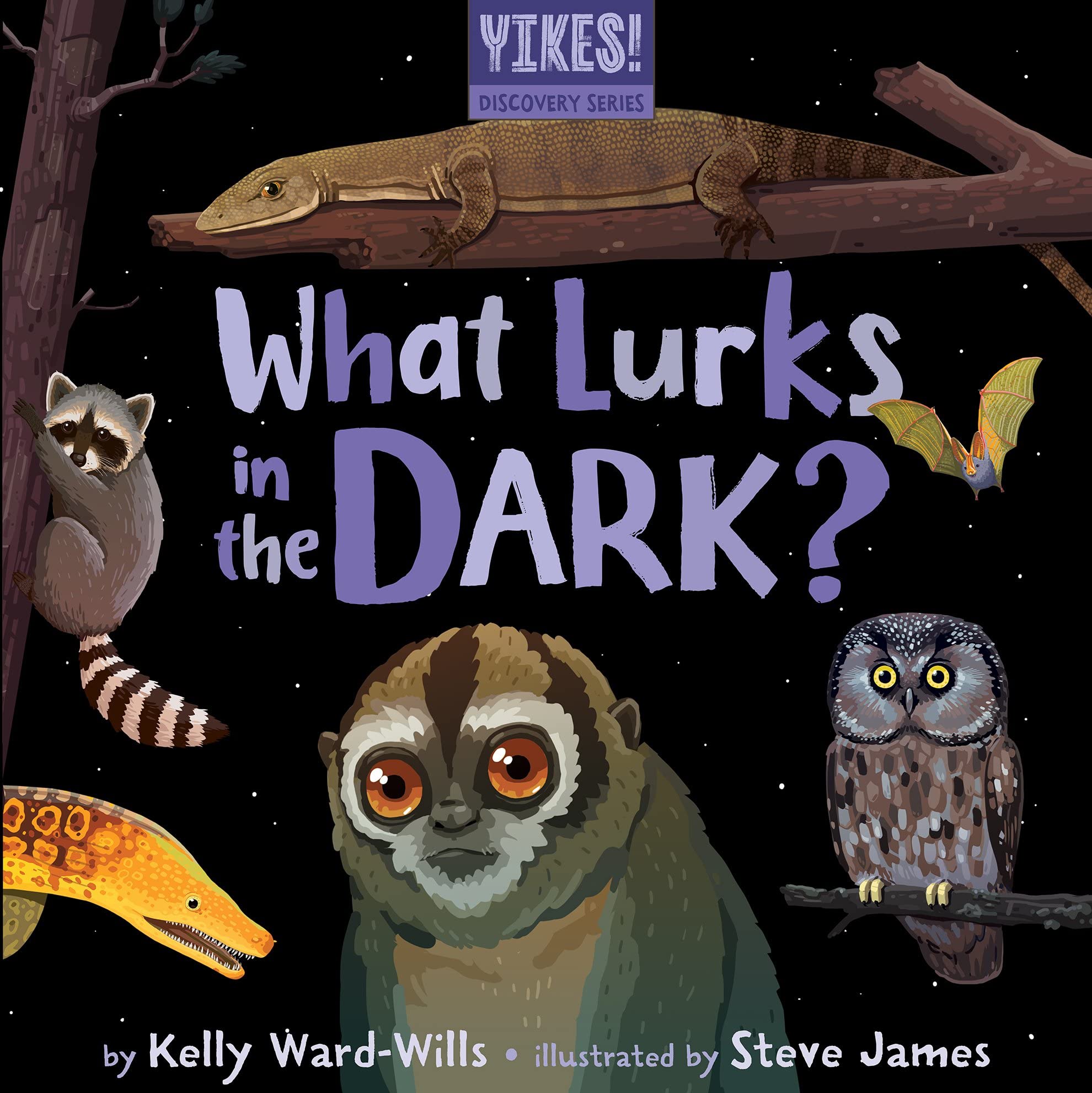 What Lurks in the Dark? (YiKES!)