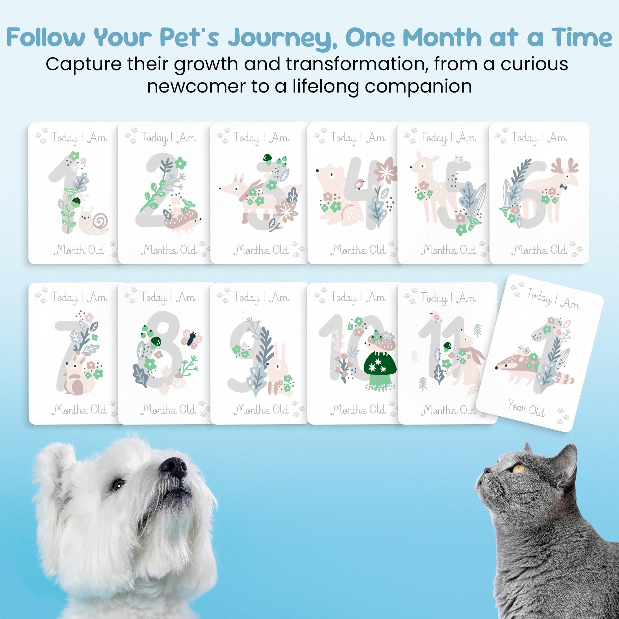 Pet Milestone Cards – Celebrate Your Pet’s Journey, Growth and Key Moments with Keepsake Cards - Perfect for Dogs, Cats, Puppies, and Kittens - Ideal as a Pet Adoption Gift, Pet Memory Book