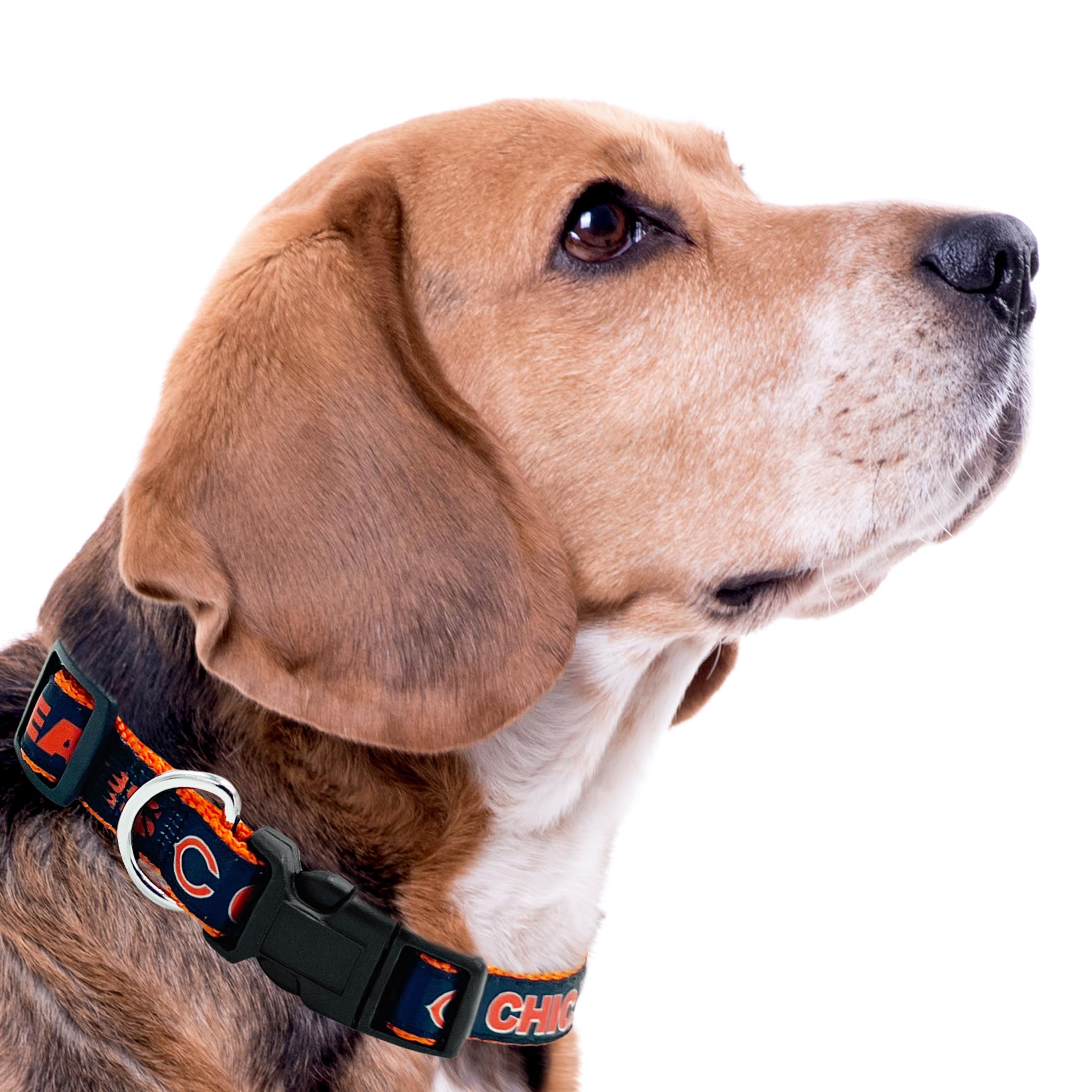 Pets First NFL Chicago Bears obroża dla zwierząt domowych, M