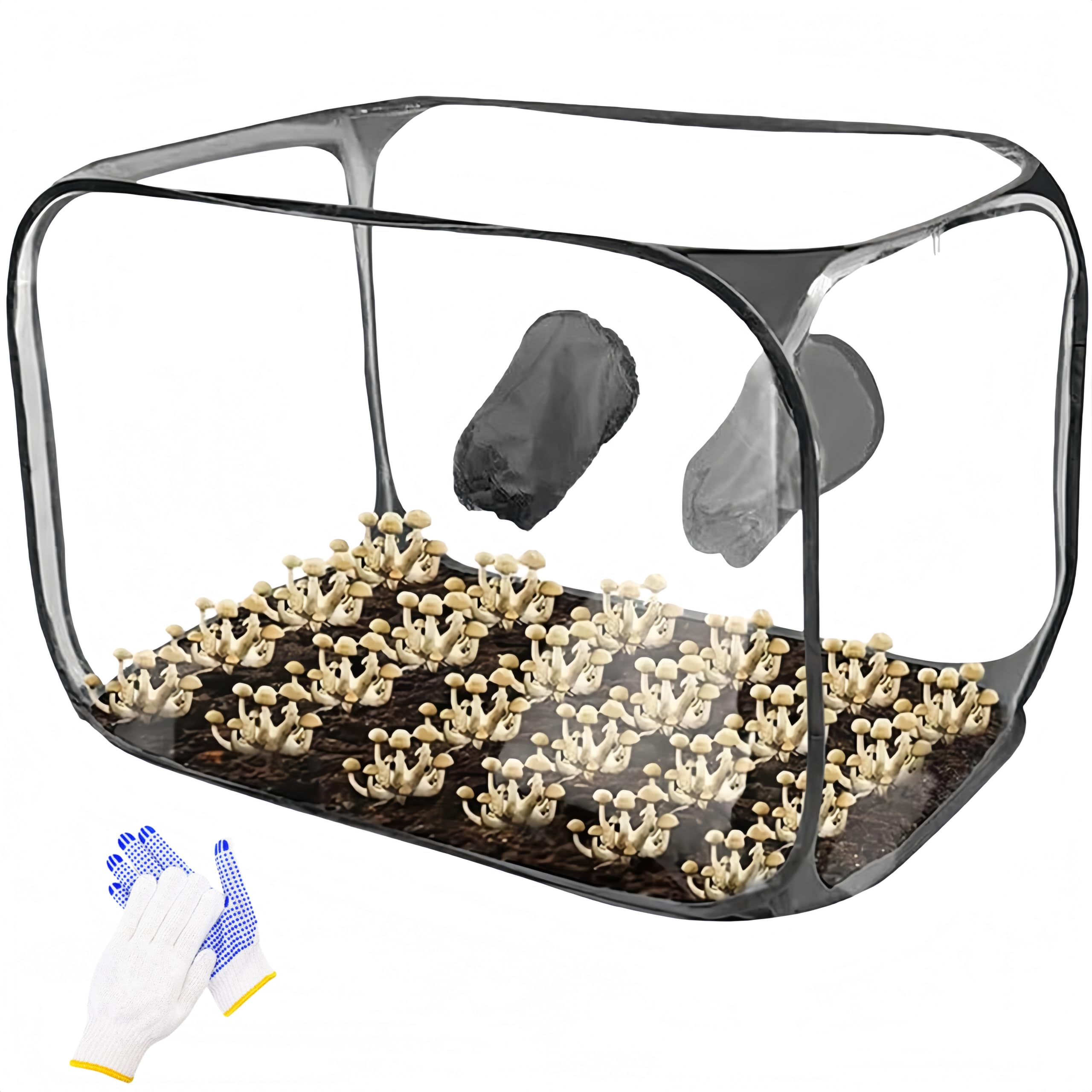 Kit de cultivo de hongos plegable, caja de aire silenciosa, 85 x 52 x 52 cm, tienda de cultivo de hongos transparente, kit de micología pop-up portátil para intercambio de aire fresco | cultivo de