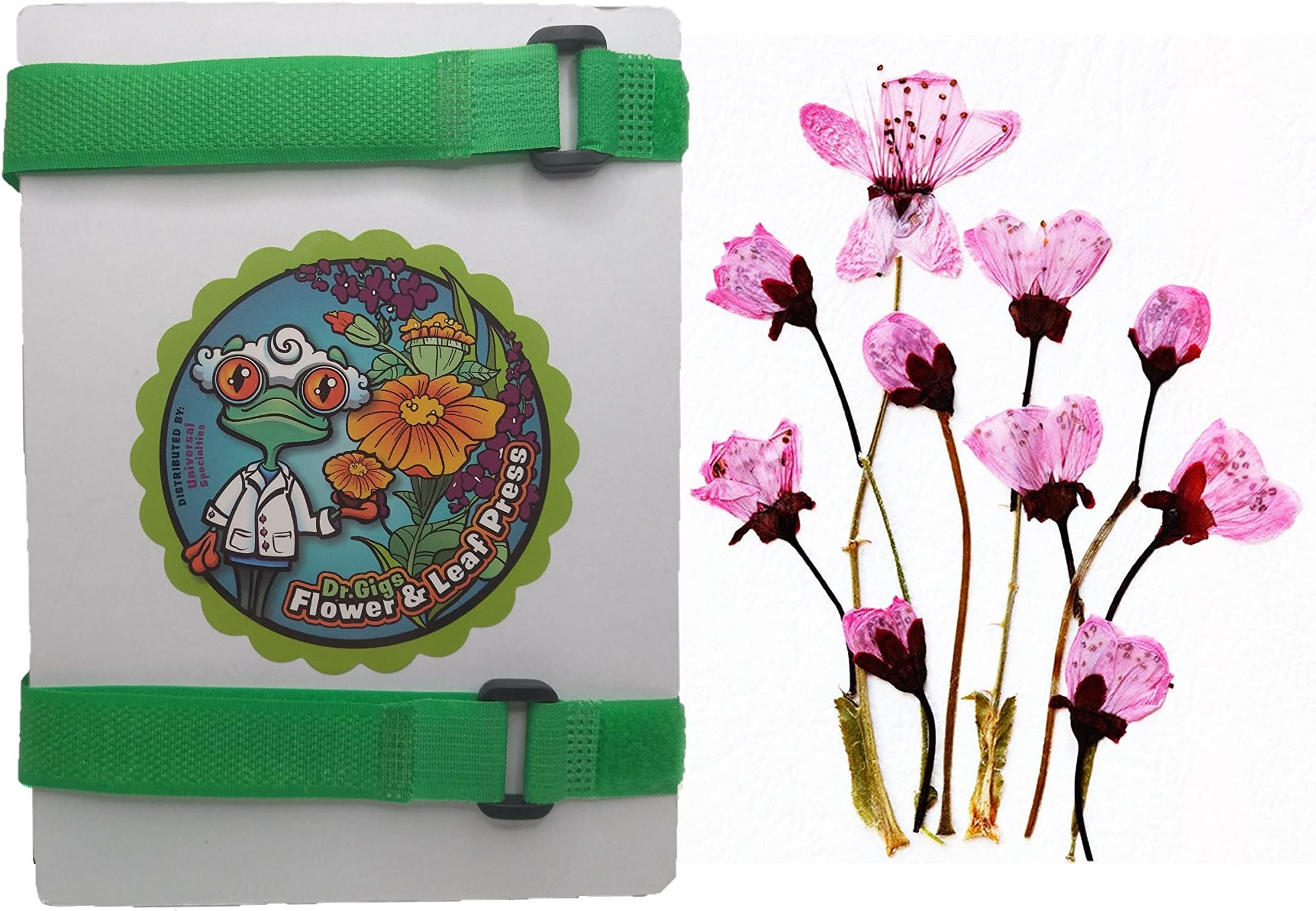 Universal Specialties Flower and Leaf Press, 7 inch x 5 inch