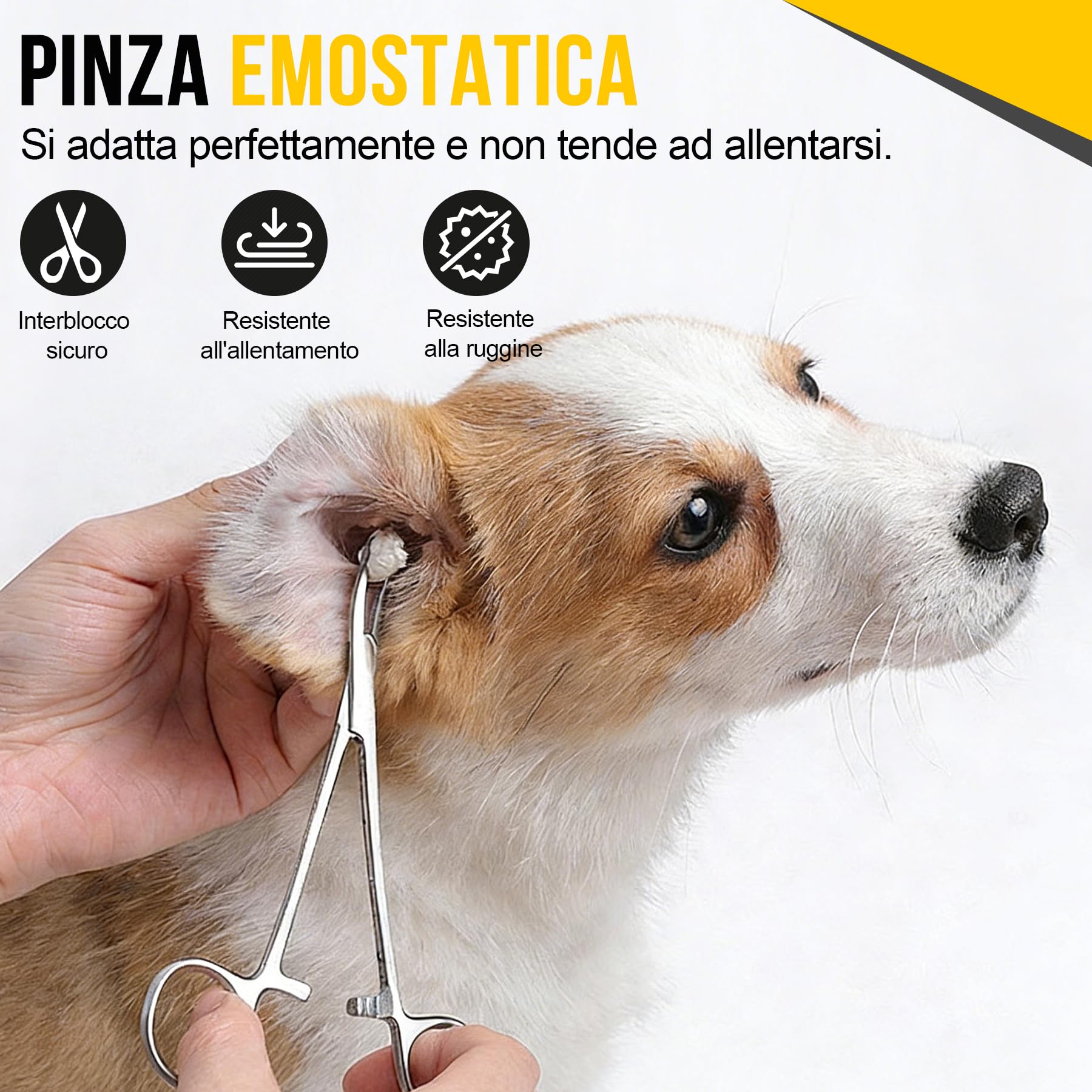 2 Pezzi Pinze Emostatiche in Acciaio Inox, Pinza Curva e Diritta 12,5cm, Morsetti di Precisione per Pulizia Orecchie Animali Domestici, Grooming Cani e Gatti, Pesca e Hobby