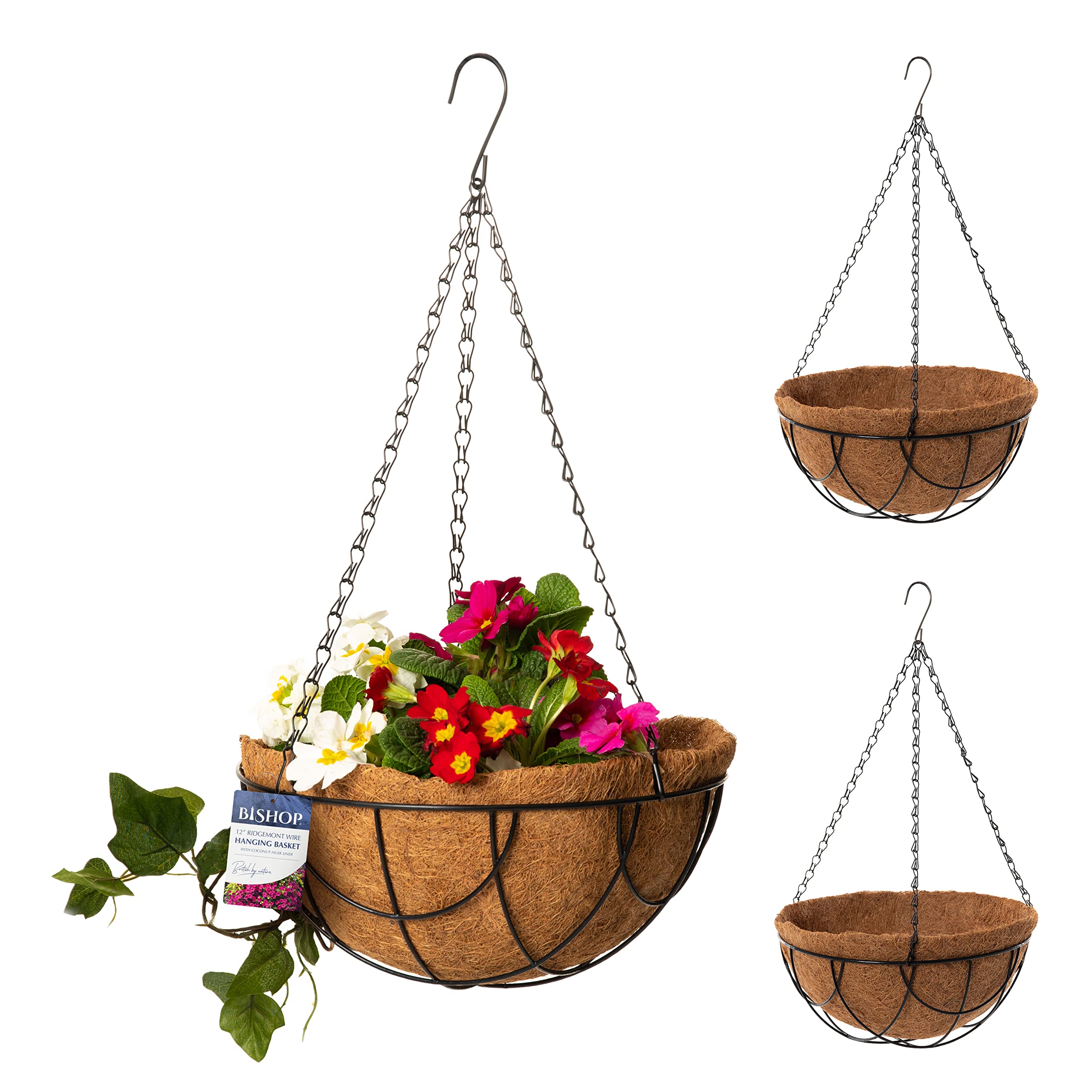 Bishop Hanging Basket With Liner — Includes Coco Liners for Hanging Baskets, 12 inch Black Wire Basket — Ideal Gardening Gifts For Mum — Great Garden Decoration Ideas and Outdoor Garden Planters