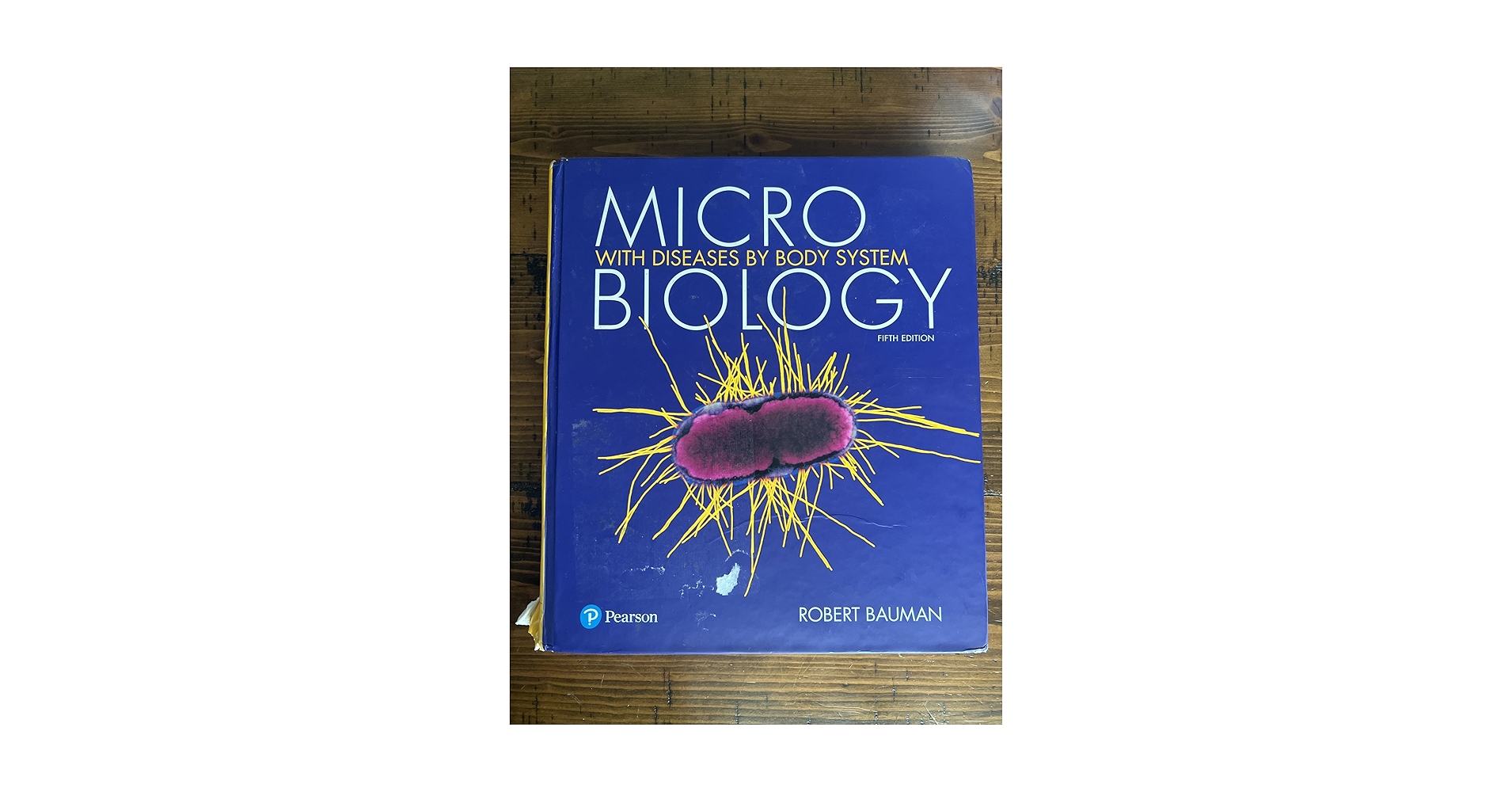 Microbiology（微生物学）～海外医学部を６年で卒業プロジェクト～ Microbiology（微生物学）～海外医学部を6年で卒業プロジェクト