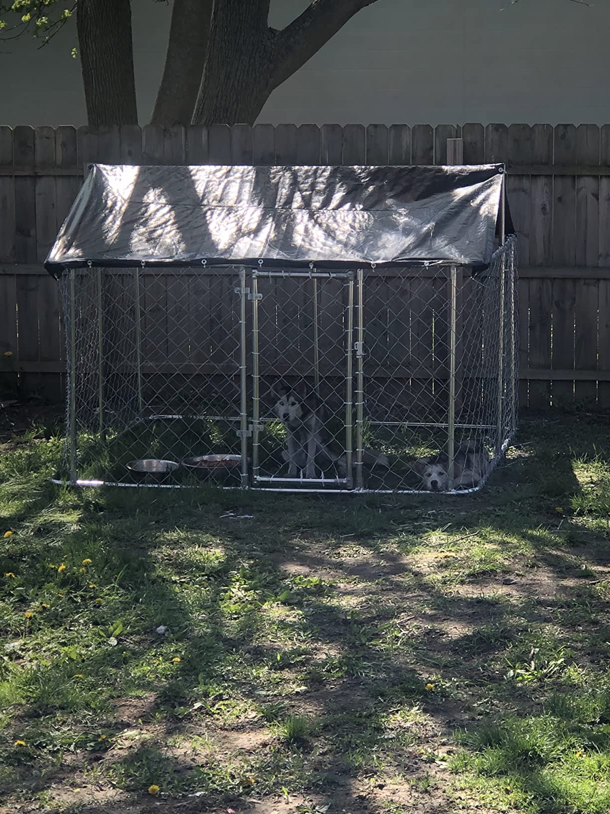 25/mo Finance Gotland Outdoor Dog Kennel Heavy Duty Dog Cage Pet House Galvanized Steel Fence