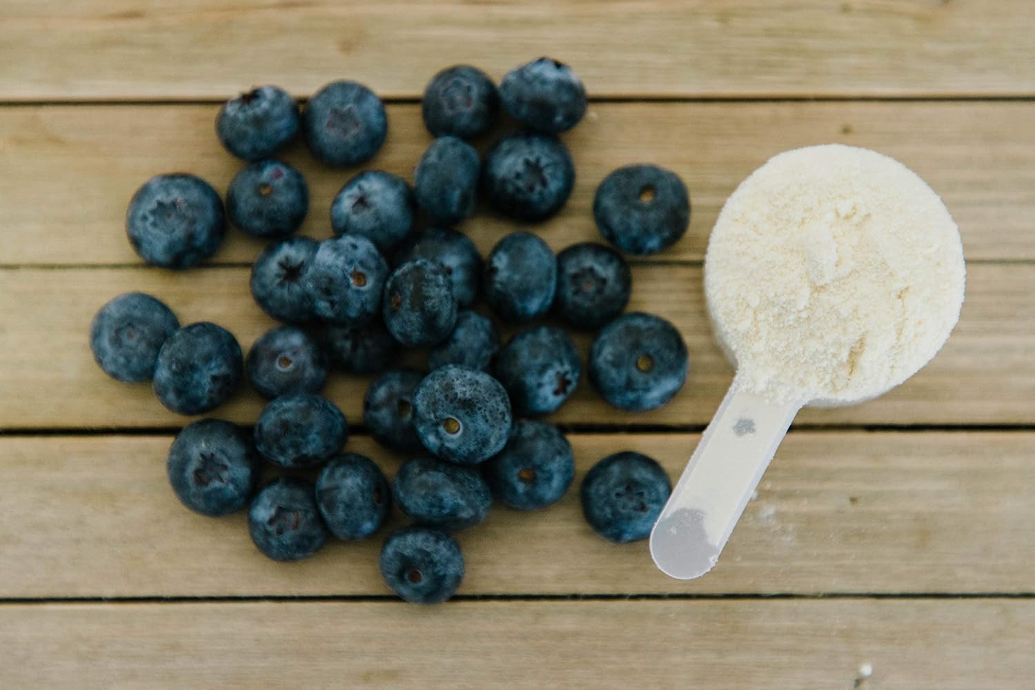 Buy Brain Bean BrainImmune Advanced Formula to Support Leaky Gut