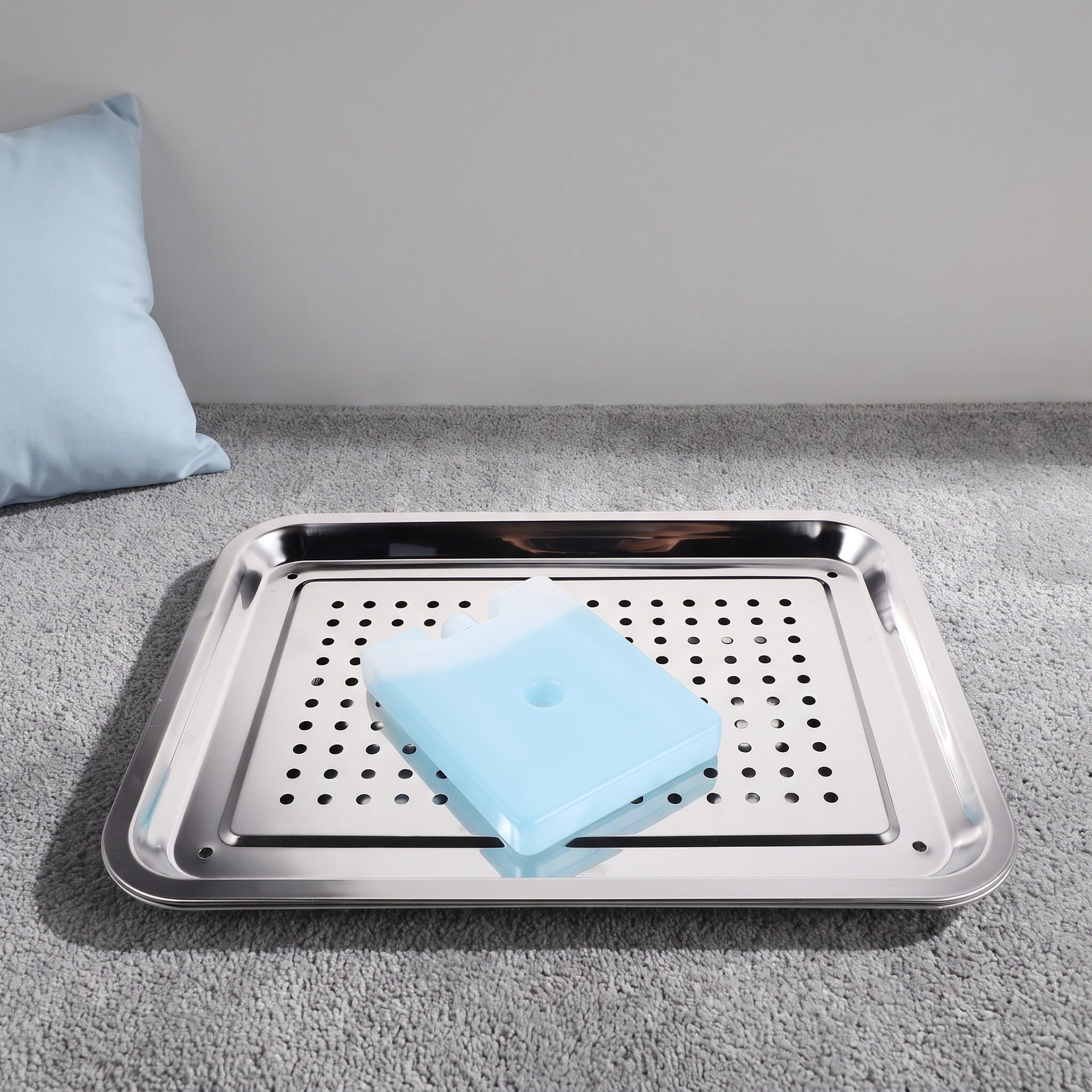 Toddmomy Kühlmatte für Haustiere: Kühlmatte für Hamster, aus Edelstahl