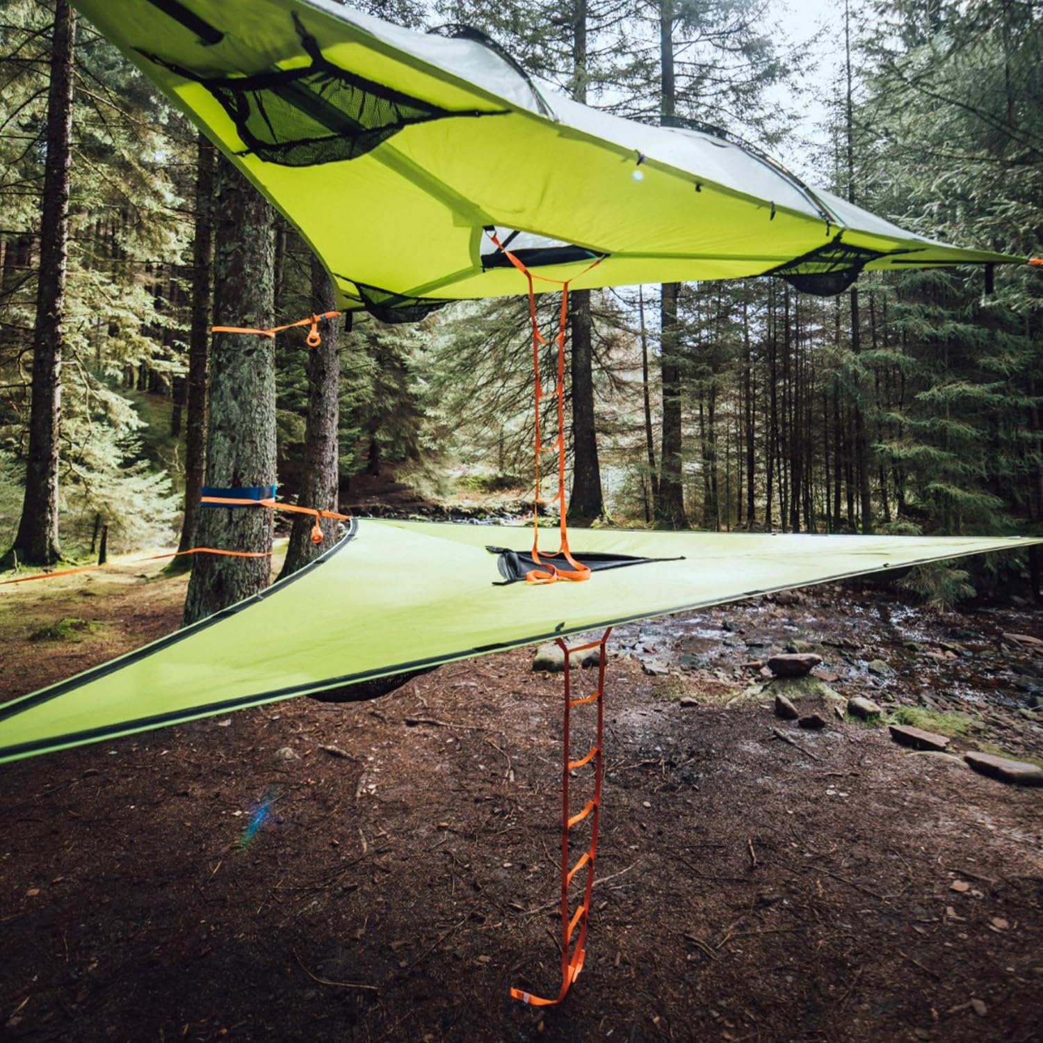 Tentsile 6ft. Webbing Ladder for Tentsile Tree Tents and Hammocks, One Size (lad3)