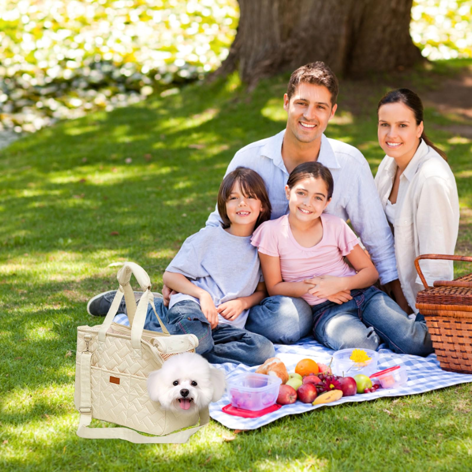 Bolsa para perros pequeños, bolsa de transporte transpirable, plegable, 41 x 30 x 18 cm, para perros pequeños, conejos, gatos